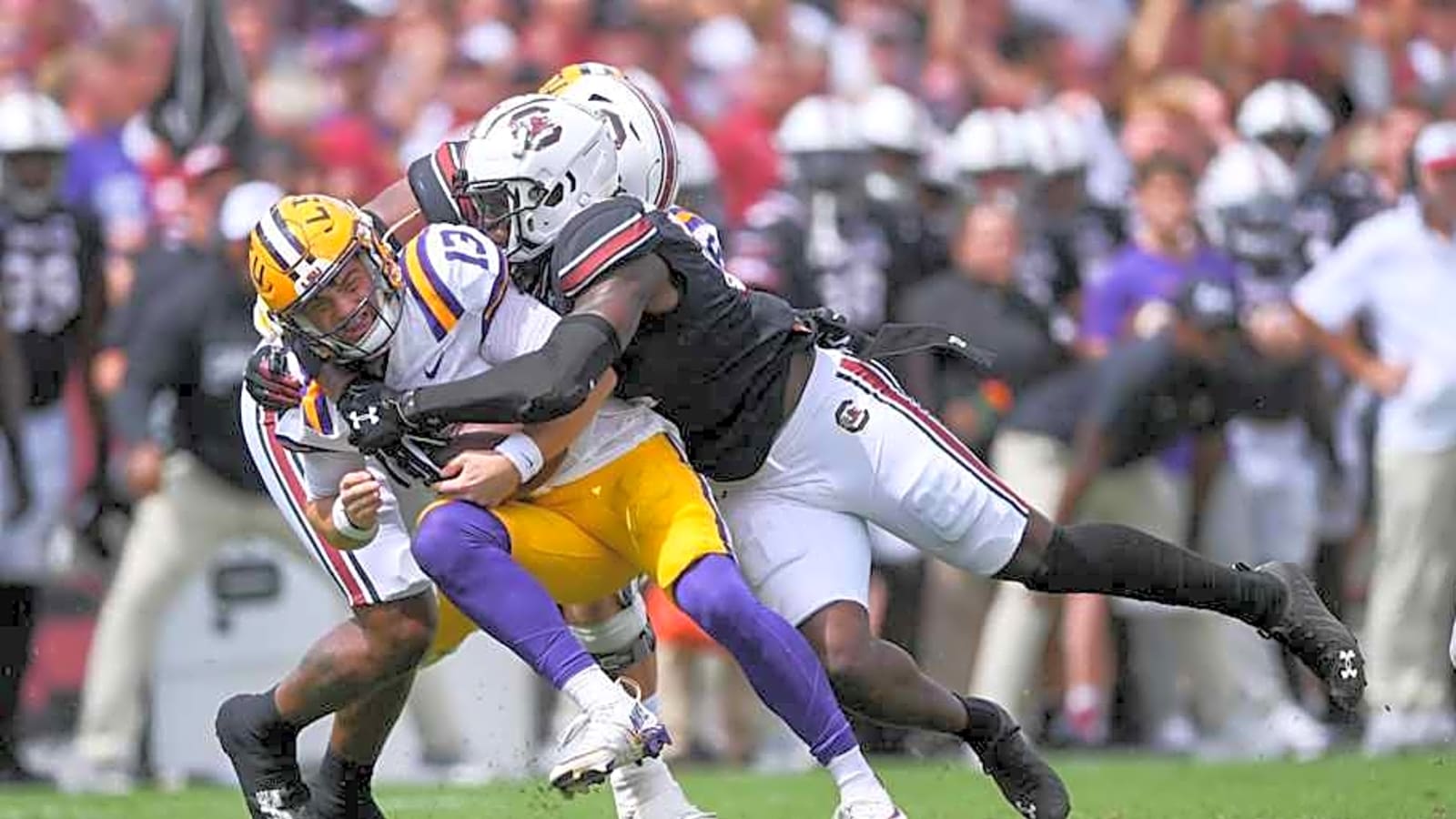 Former Gamecocks LB Bam Martin-Scott Discusses Training Camp With Carolina