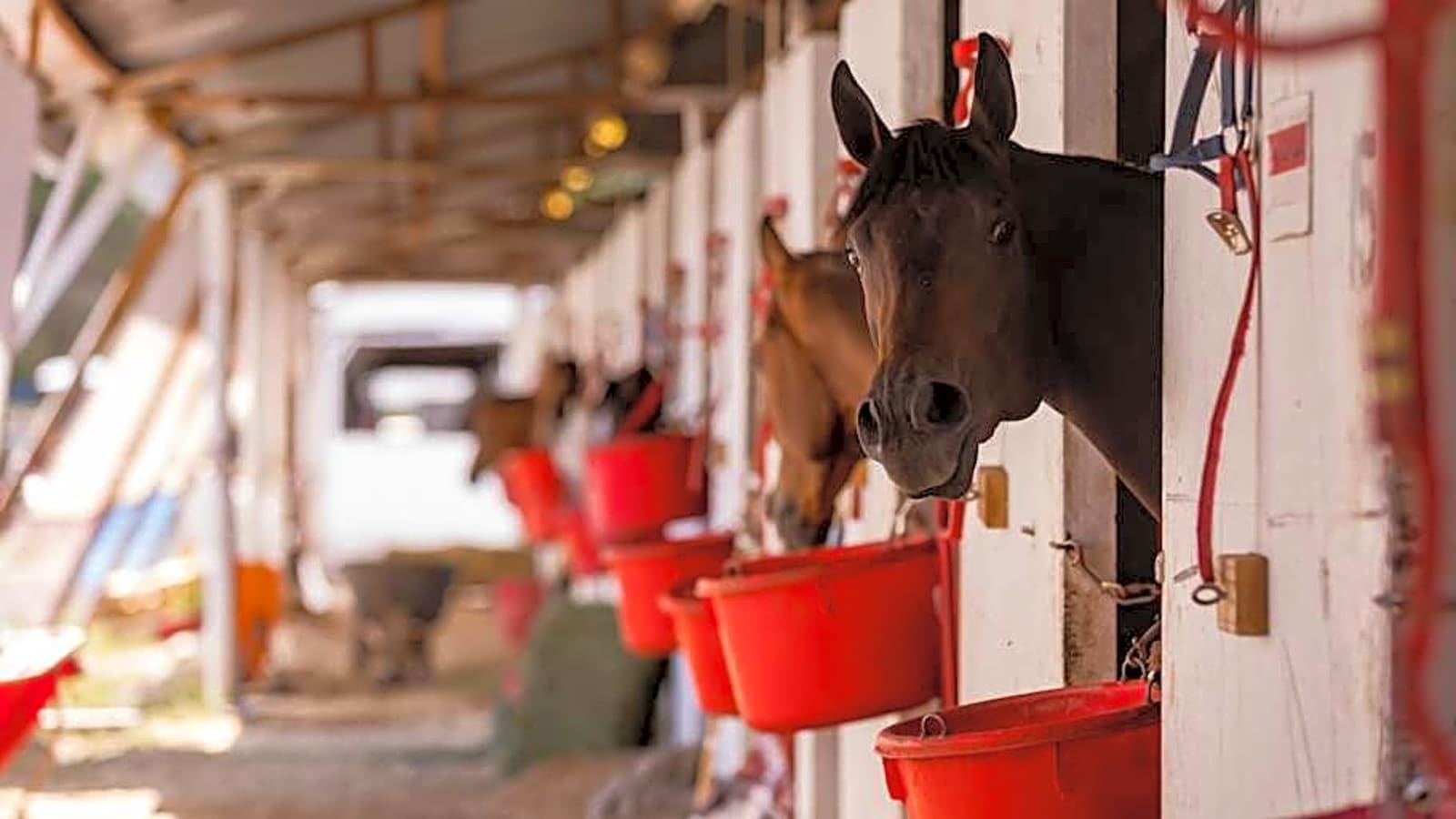 Legendary Racetrack Facing Future Uncertainty and 2026 Season Closure