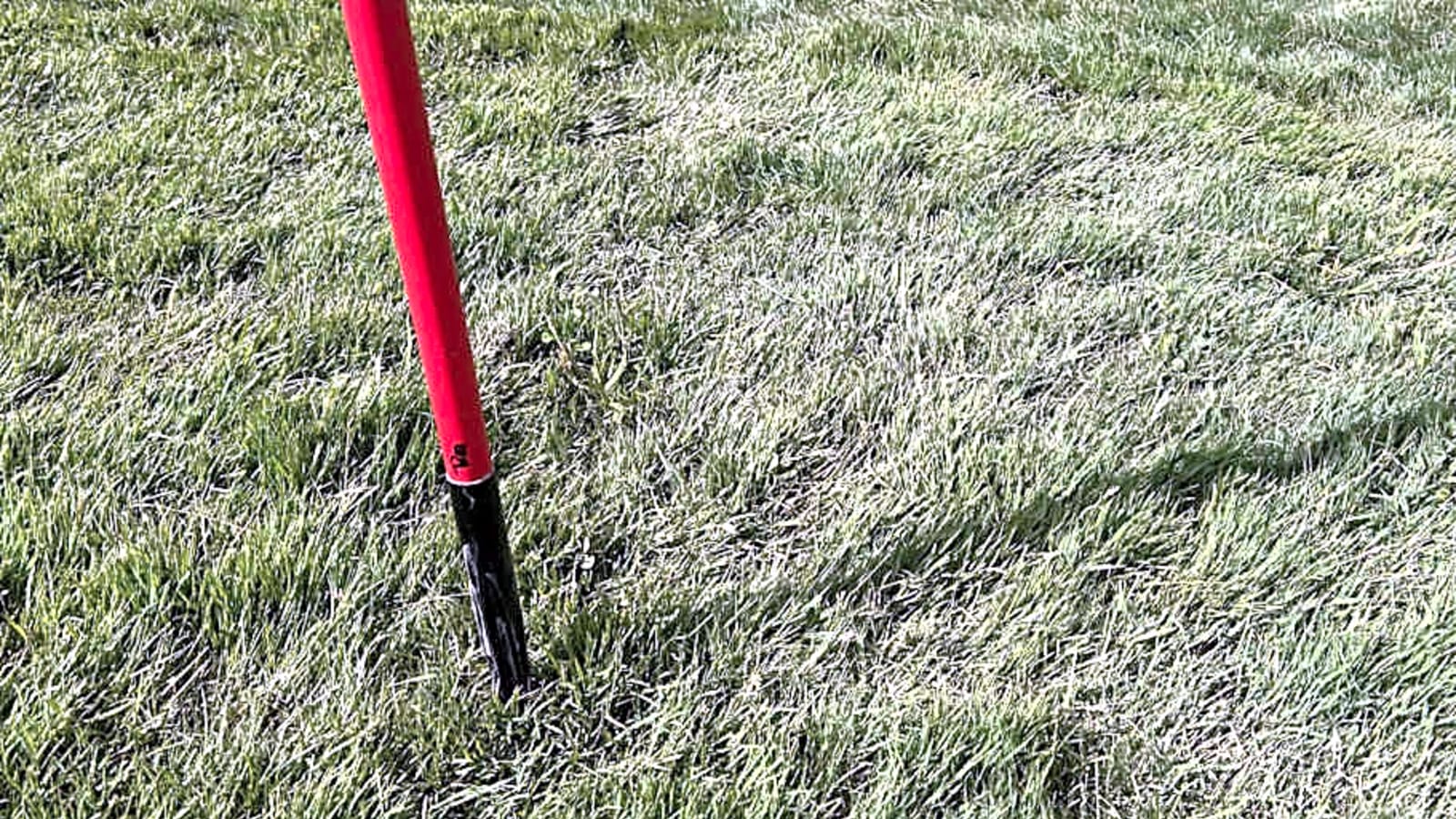 Illinois Freshman Melissa Wullschleger Finishes Top 10 at NCAA Championships