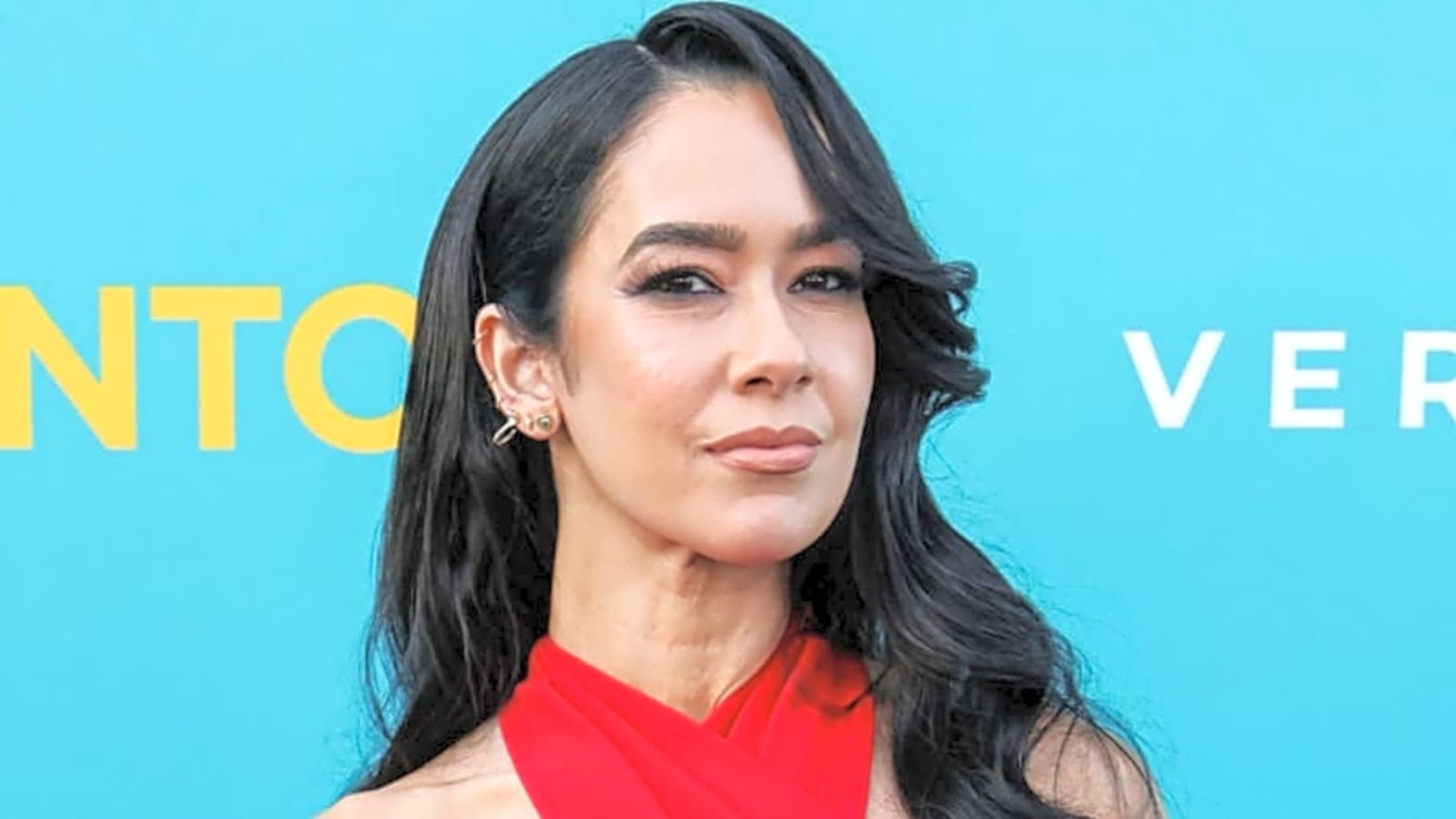 Massive AJ Lee News Has Dropped Ahead Of WWE Wrestlepalooza