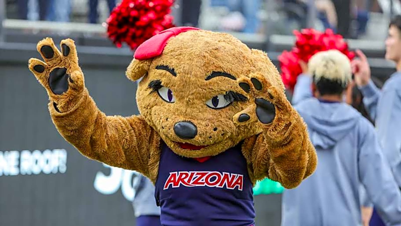 Arizona WBB Receives News on Top Recruiting Target