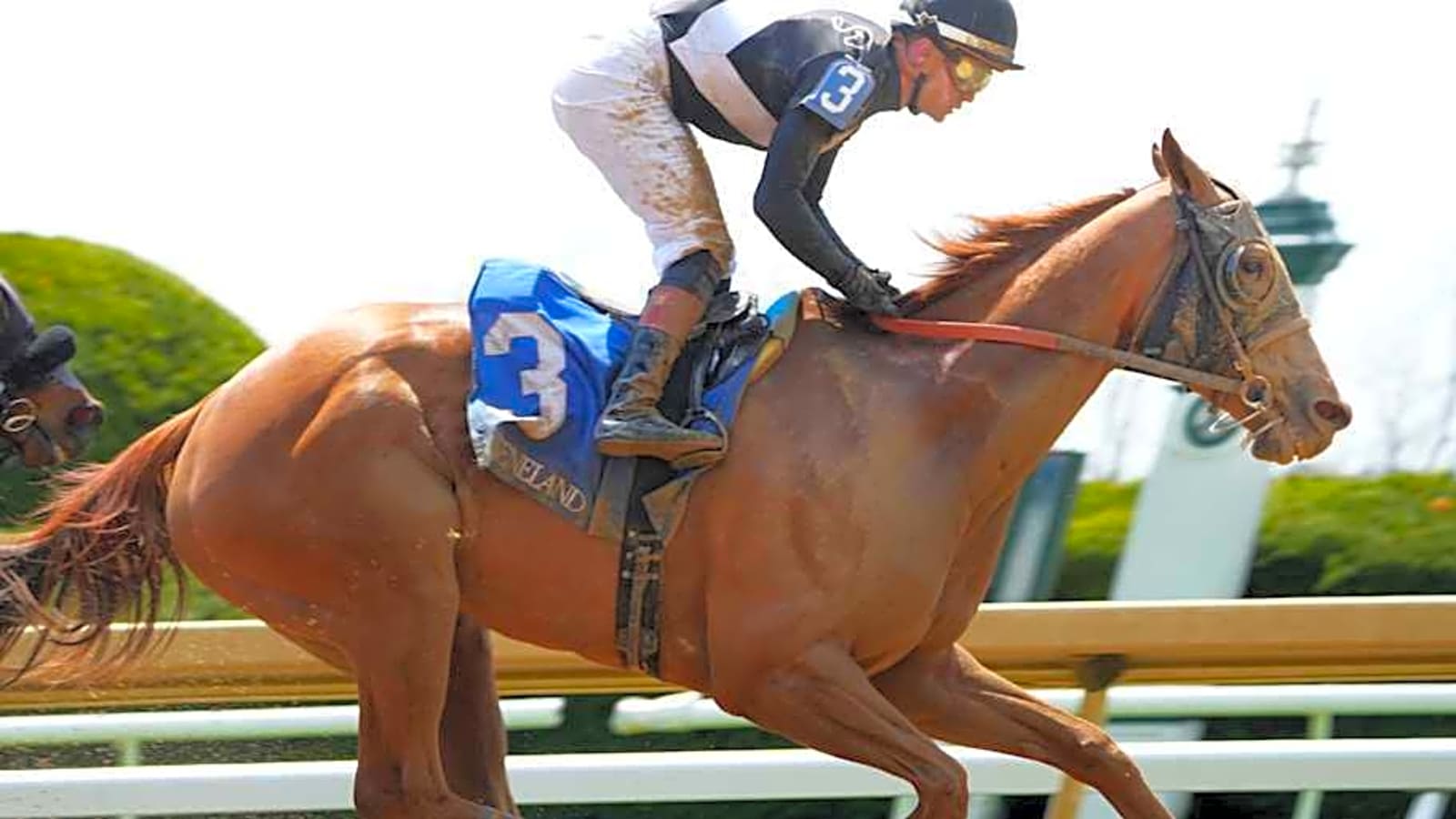 Icon Racing Goes All In At Keeneland September Sale