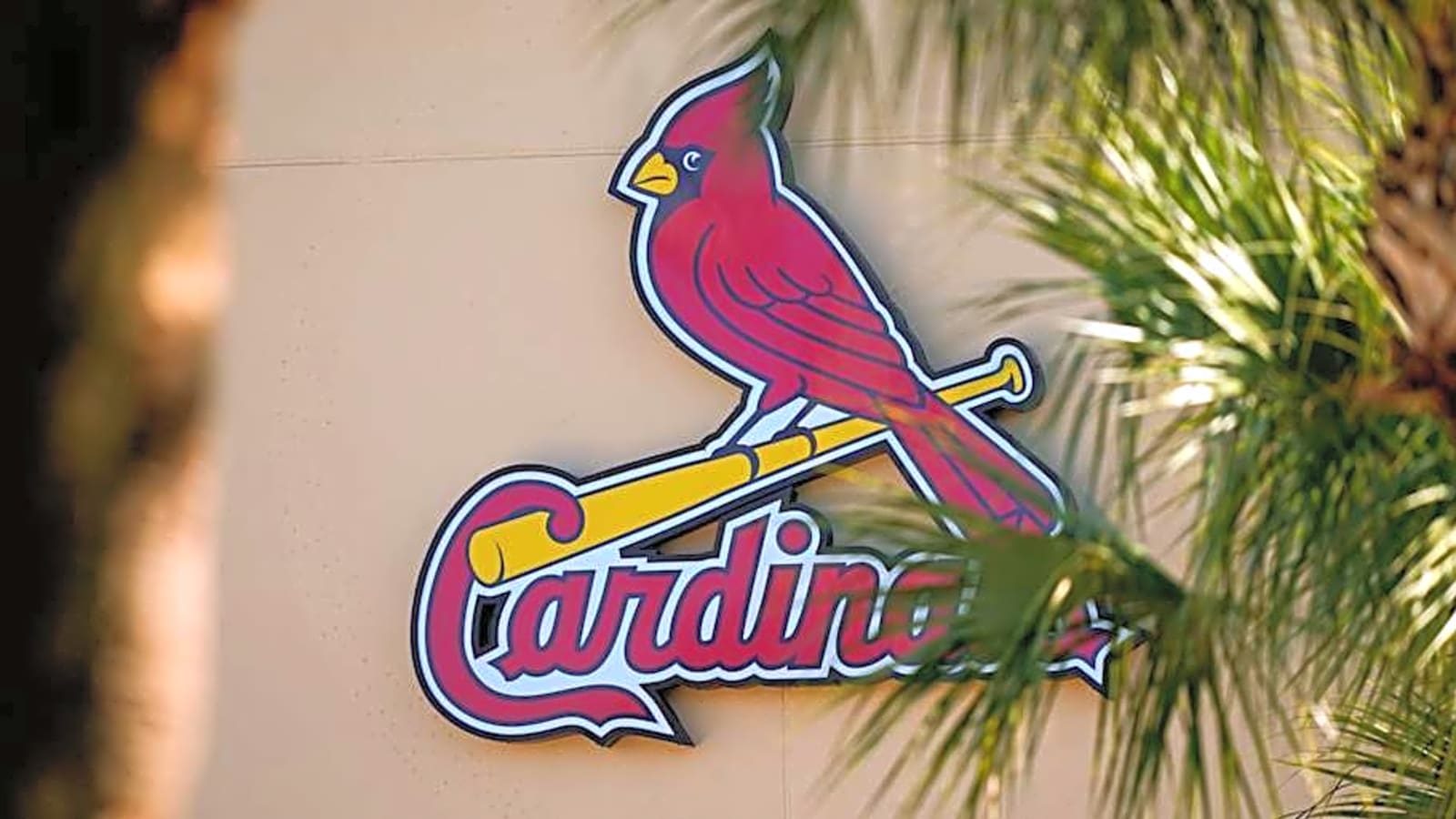 Cardinals $7.5 Million Man Has Turned Heads For Wrong Reasons