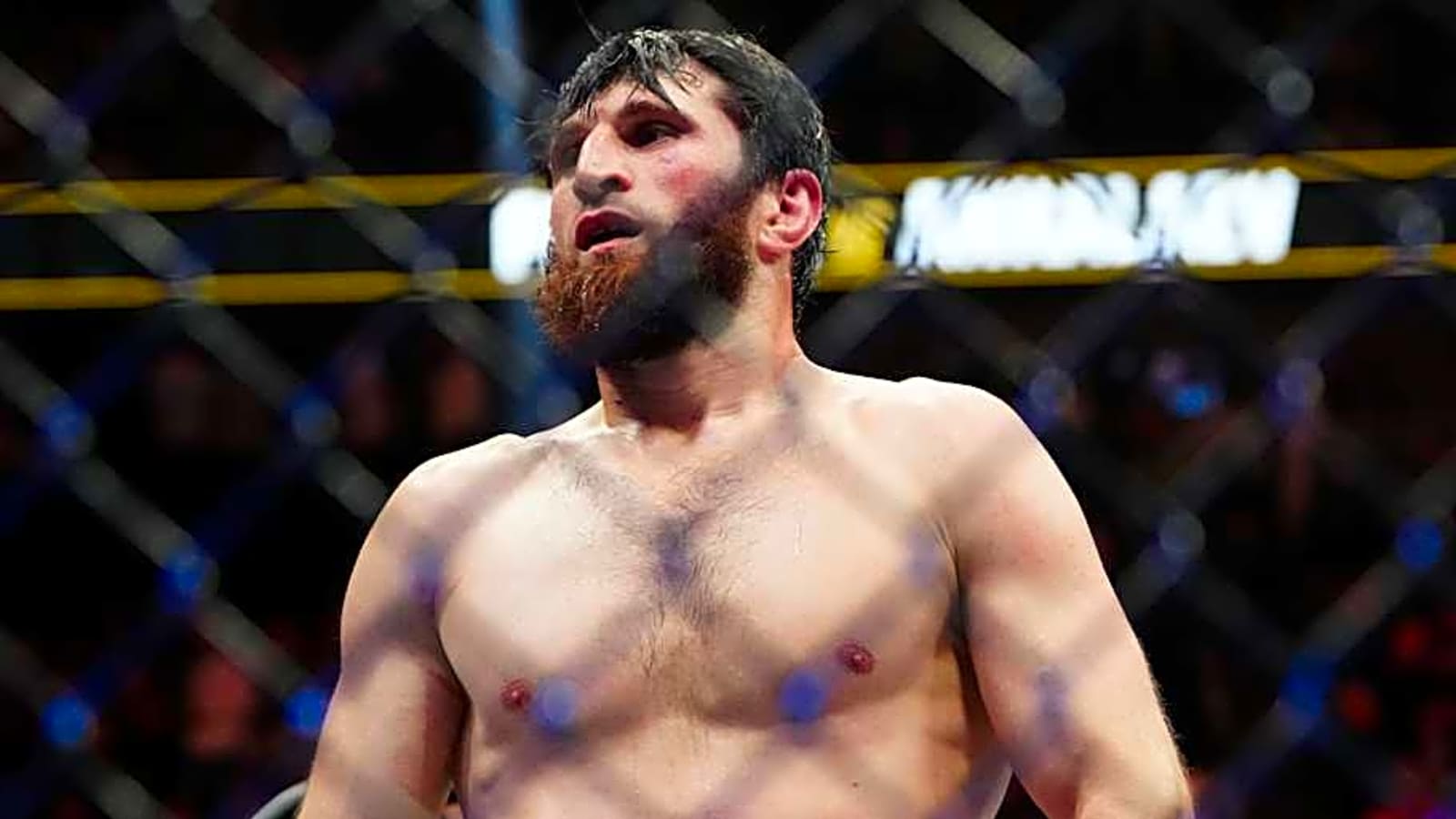 Magomed Ankalaev offers stunning prediction for UFC  rematch with Alex Pereira
