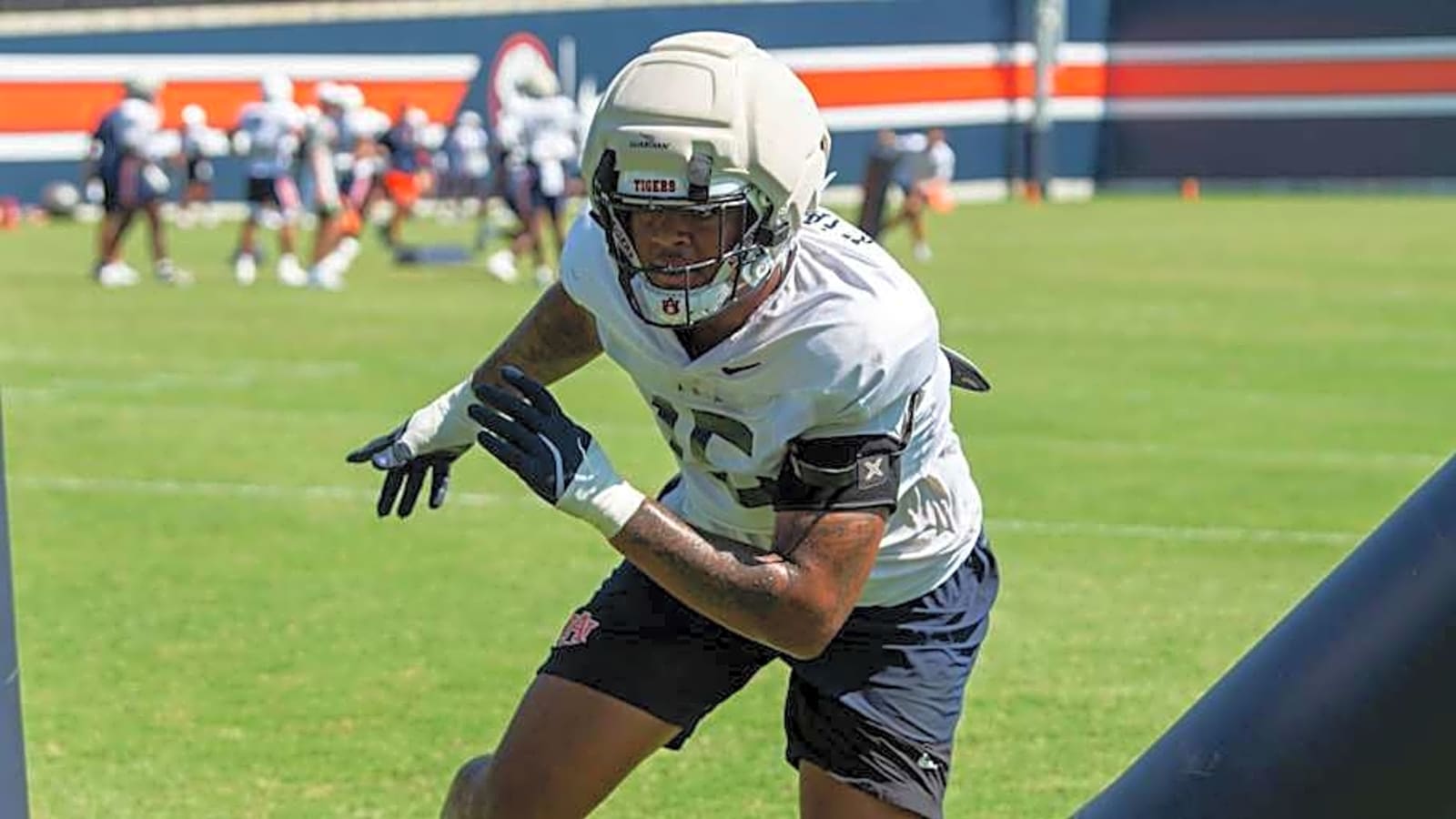 Two Auburn Tigers Named to ESPN&#39;s Top 100 College Football Players List