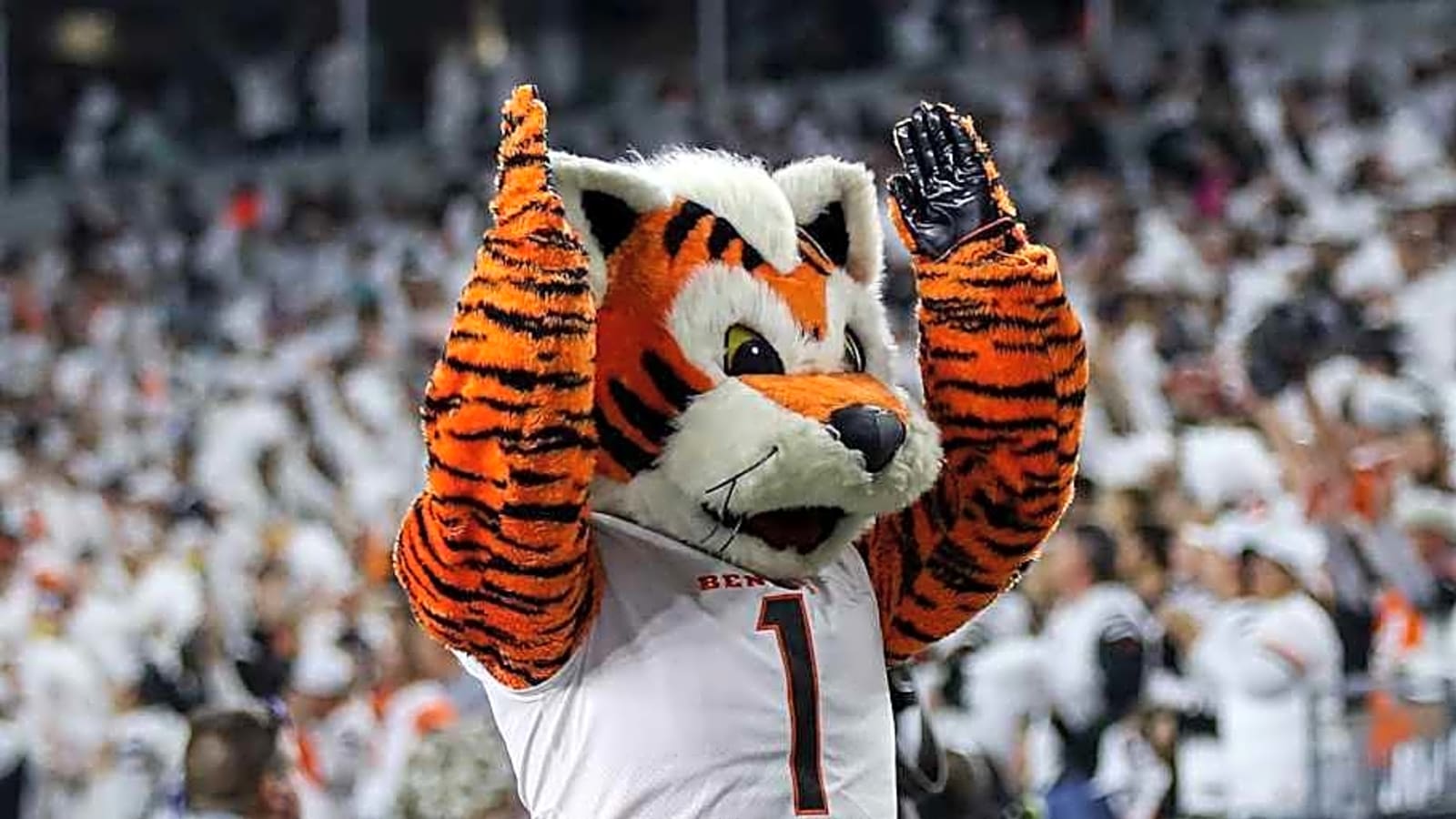 Cincinnati Bengals Among Least Valuable NFL Franchises Entering 2025 Season