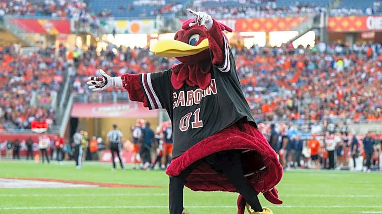 South Carolina Gamecocks Update TV Times and Network Details for 2025 Football Season