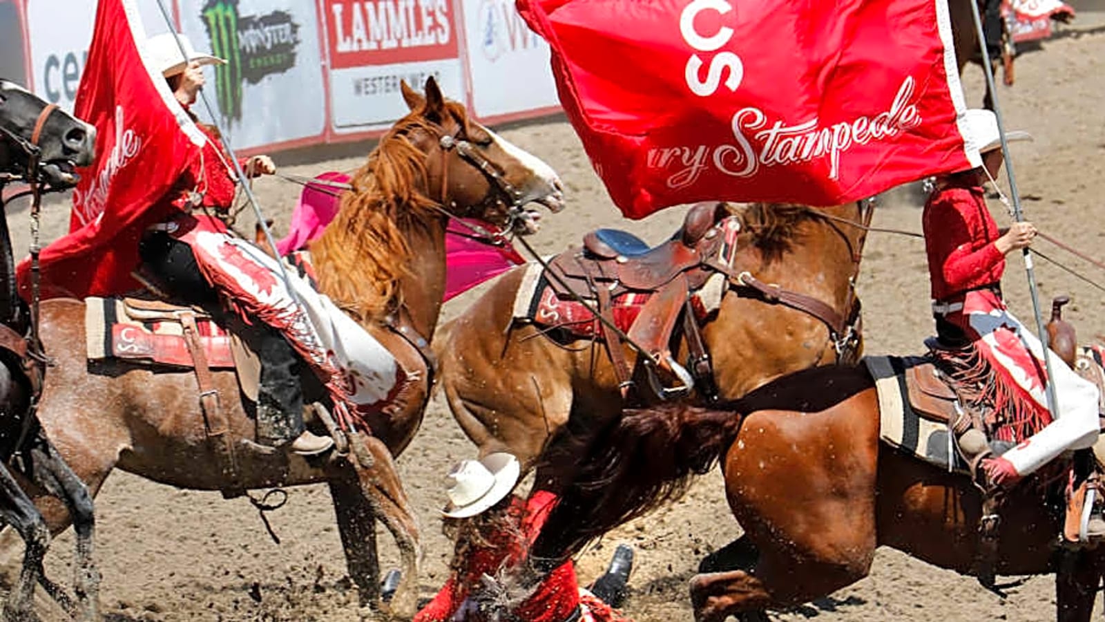 Calgary Stampede Animal Welfare Controversy Flares Up Ahead Of July 4th Start
