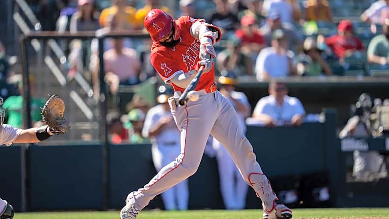 Angels Manager Reveals Beauty and Curse of Key Outfielder