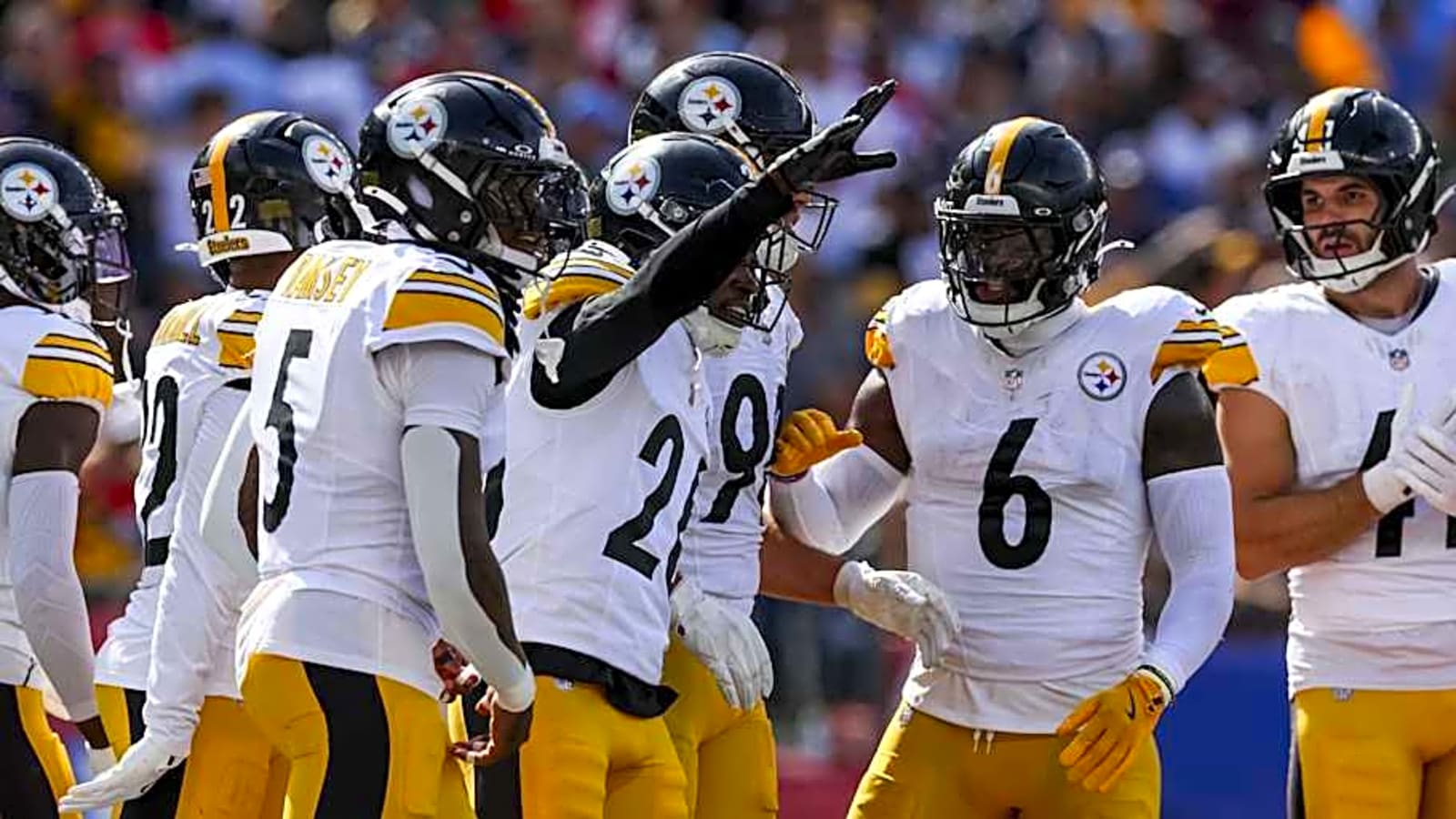 Steelers Win Dog Fight Against Patriots