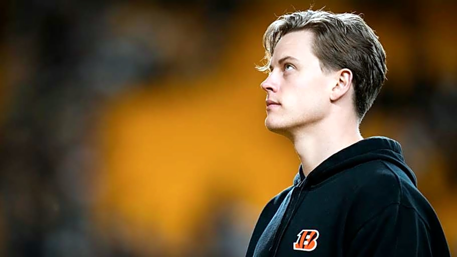 Joe Burrow &#39;Close To Perfect&#39; With NFL Approach, Performance