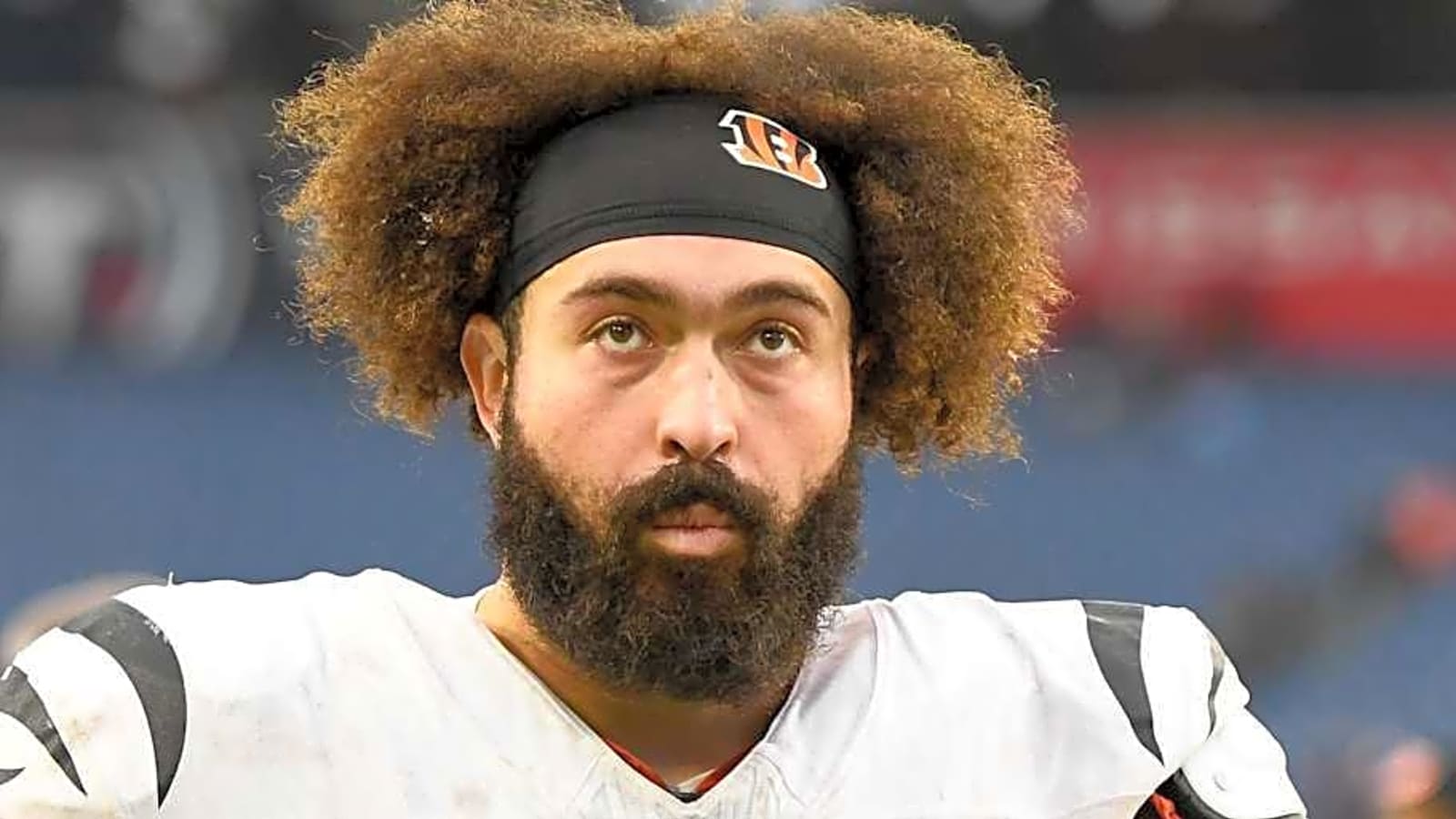 Lions Signing Former Bengals OL to Practice Squad