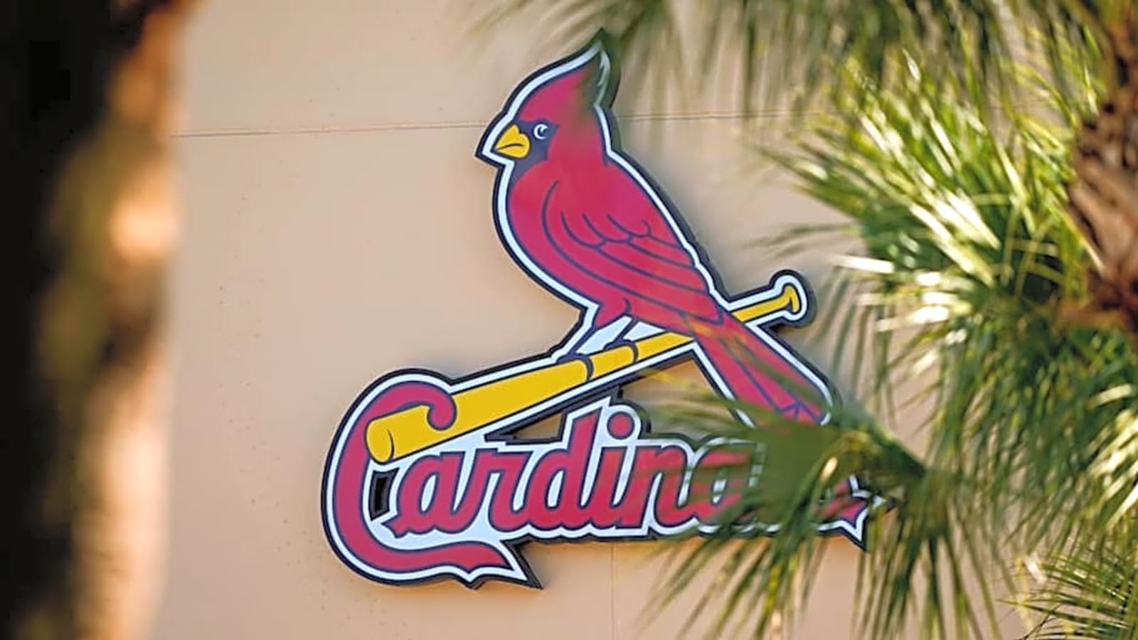 Cardinals Officially Cut Ties With 8-Year MLB Veteran