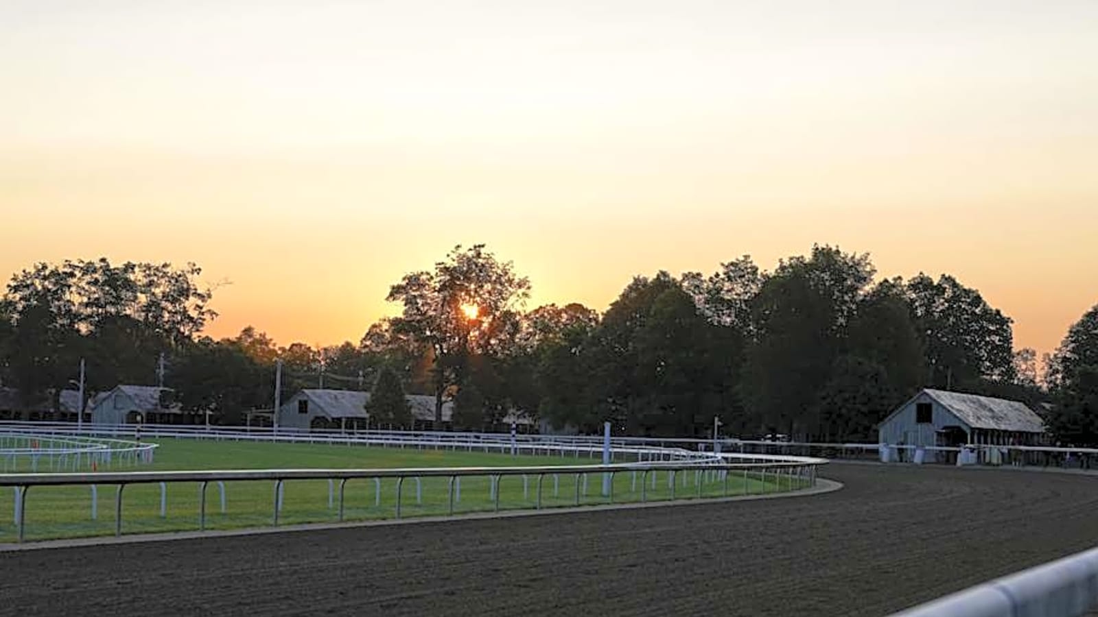 Positive Case of Strangles Identified in Saratoga’s Barn 66