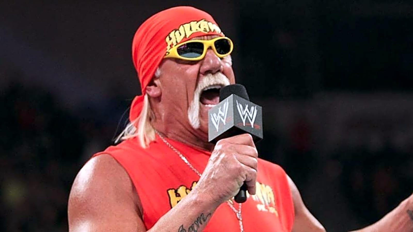 Hulk Hogan To Open New Bar Across From Historic New York Landmark