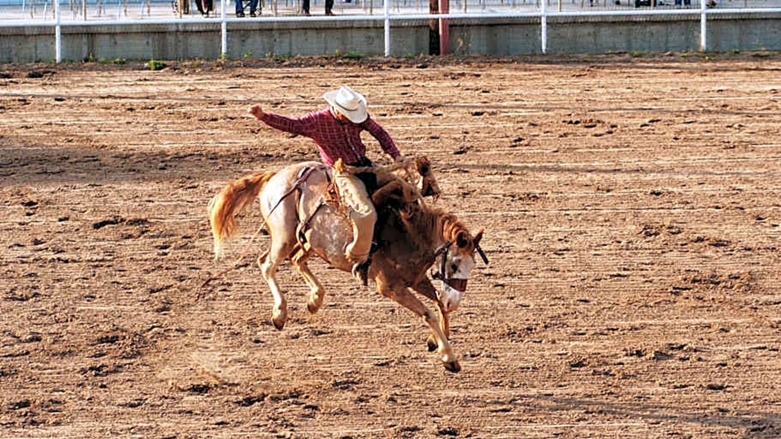Three-Time PRCA Saddle Bronc Riding Champion Bill Smith Passes Away At 83