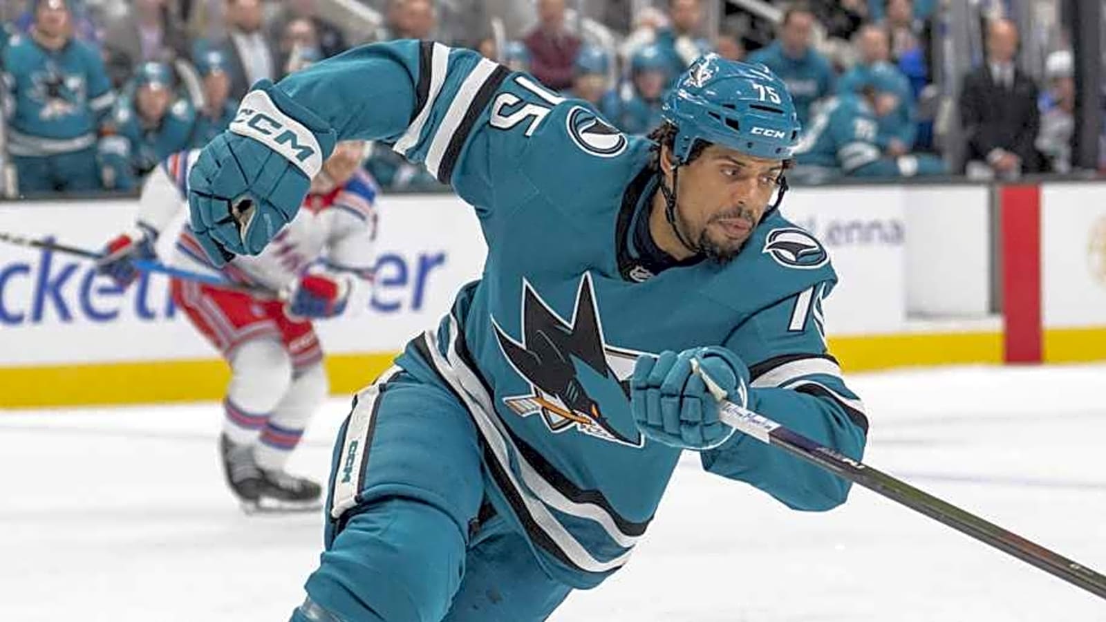 Sharks Place Veteran Enforcer on Injured Reserve