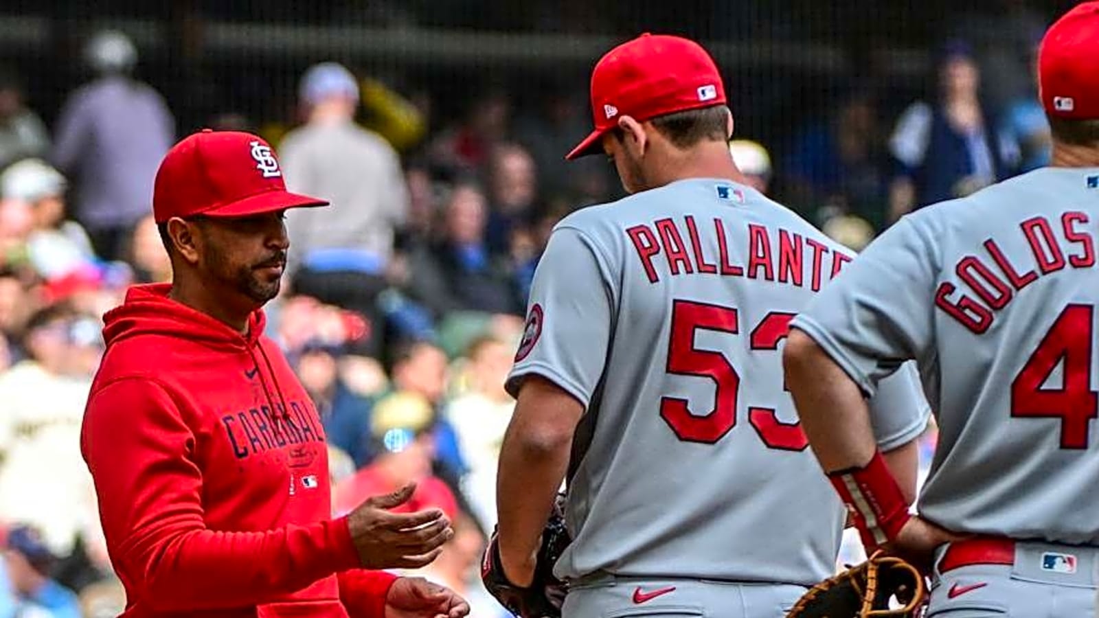 Cardinals’ Oli Marmol Explains Why Andre Pallante Shouldn’t Be Demoted