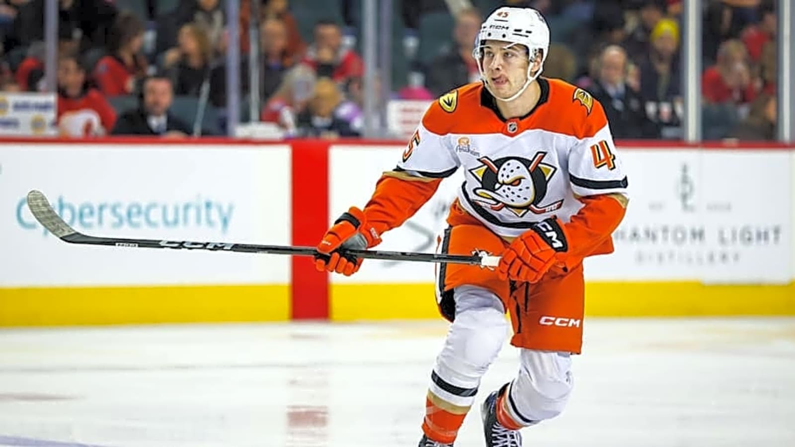 Ducks Climbing Standings With Latest Hot Streak