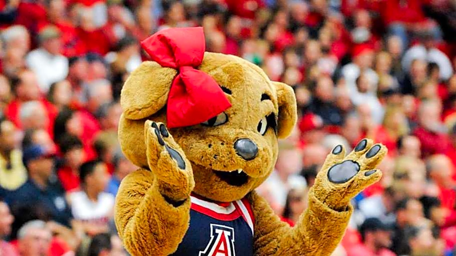 Arizona WBB Offers High-Level Recruit