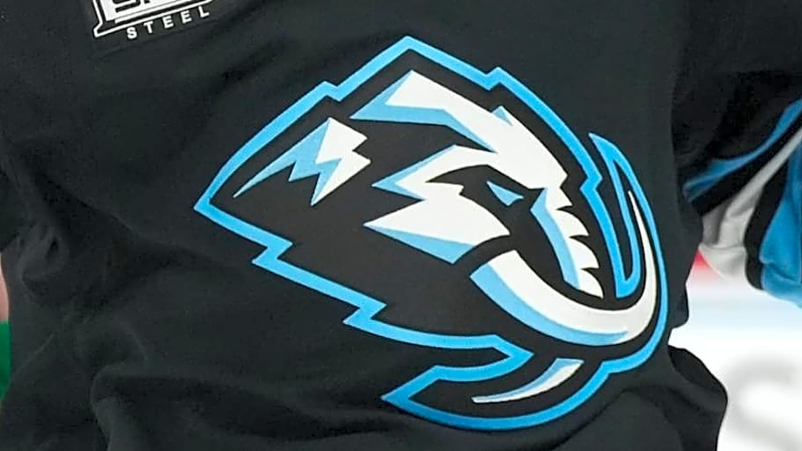 Mammoth Goalie Becoming Top NHL Prospect