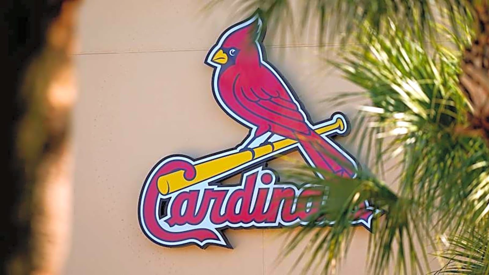Cardinals Slugger Is Making Front Office&#39;s Decisions Impossible