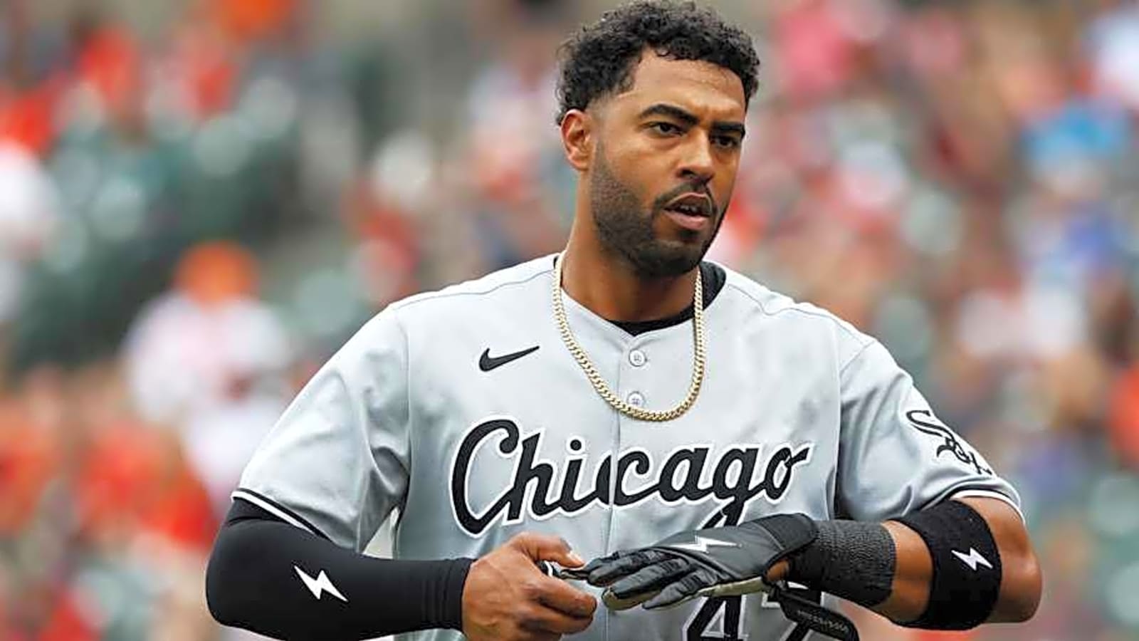 Outfielder Joshua Palacios Designated For Assignment By Chicago White Sox