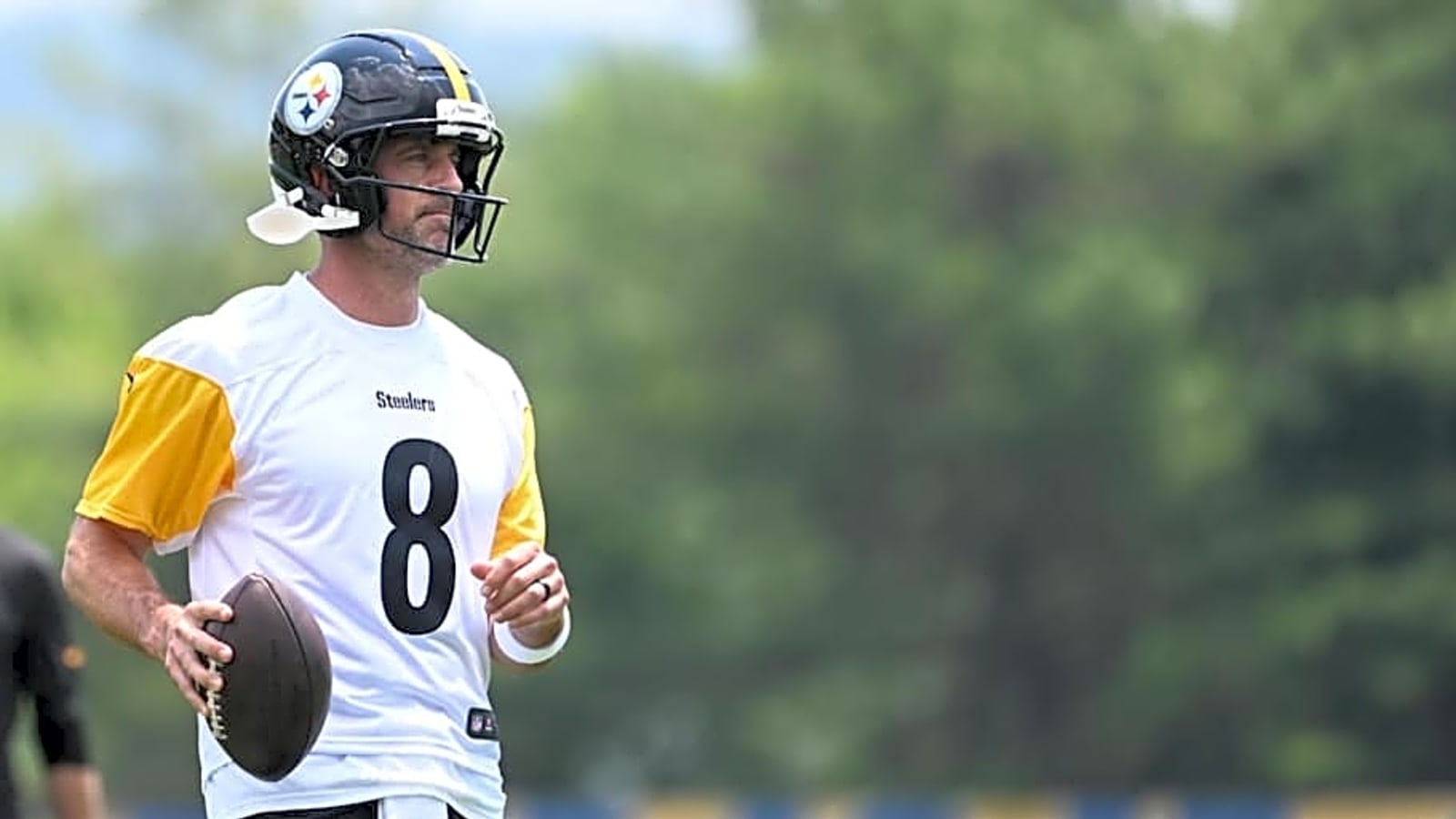 Former Browns Head Coach Calls Out Steelers&#39; Aaron Rodgers