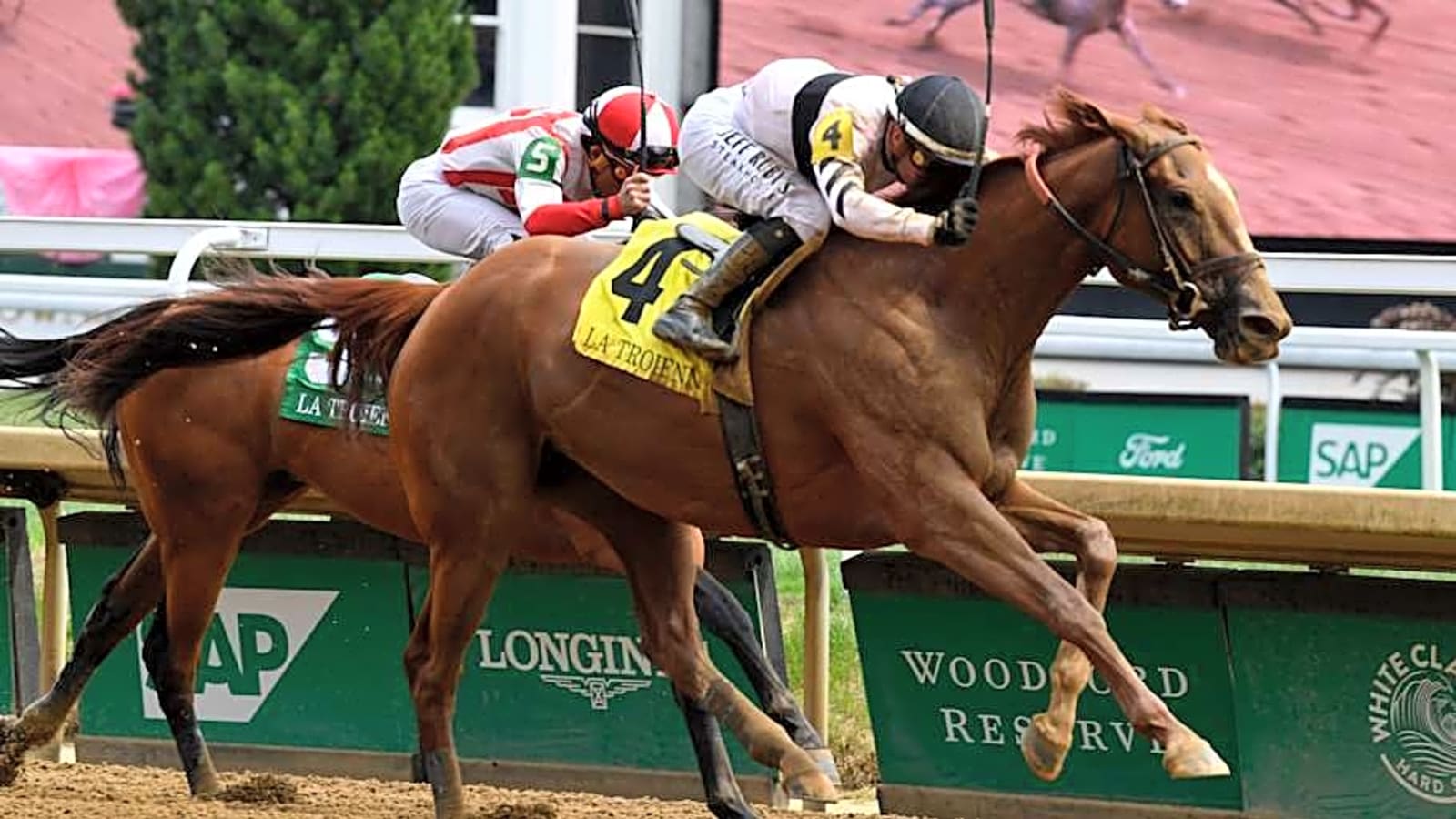Raging Sea looks to rebound in the Shuvee