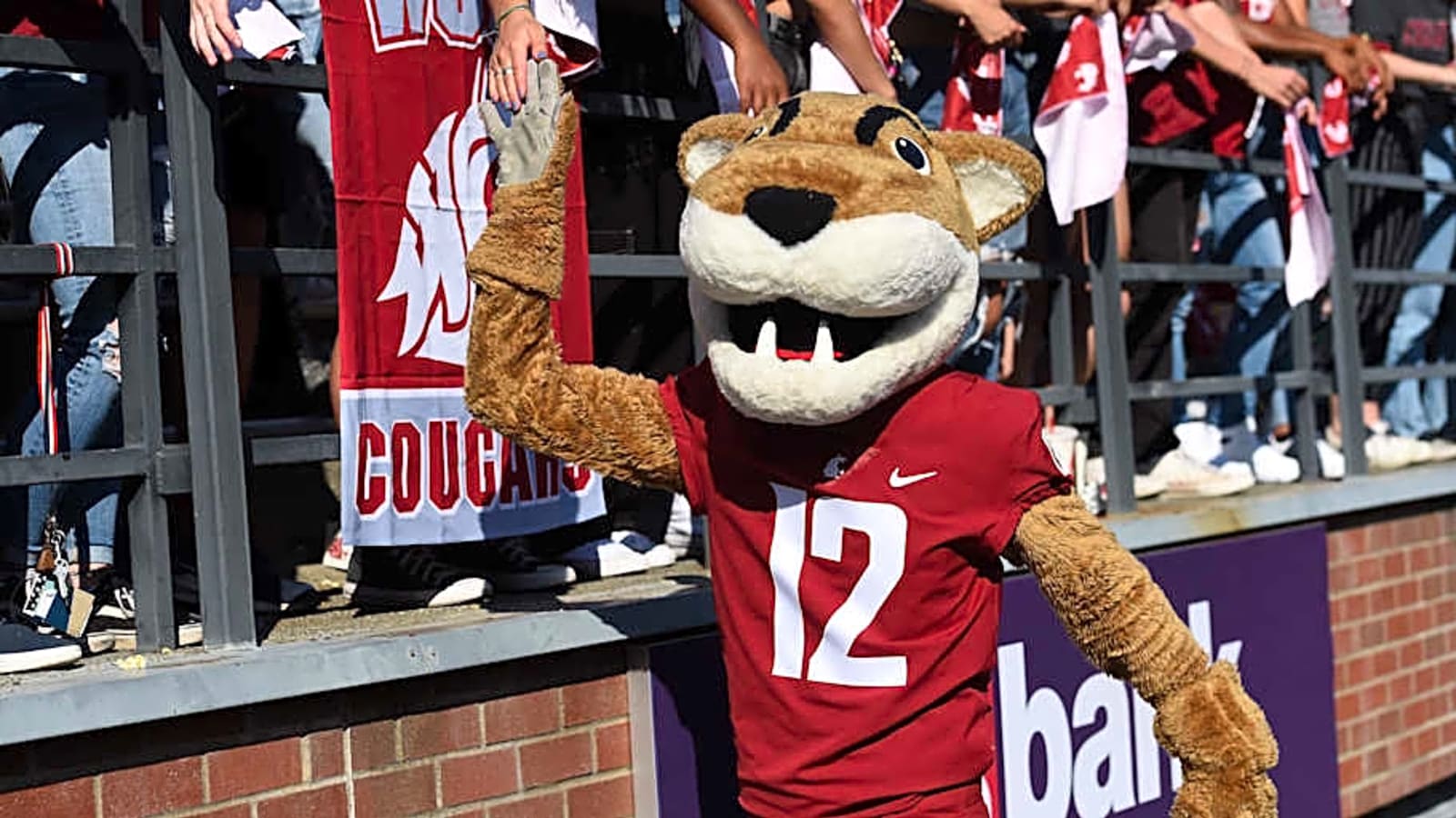 Washington State Soccer: Defender Jenna Studer Earns All-WCC Preseason Honors