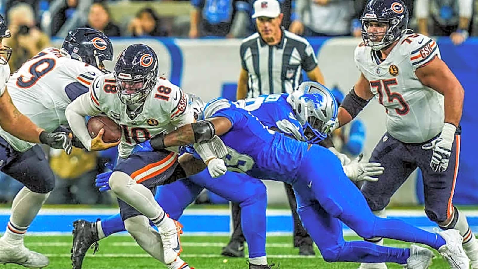How Serious a Threat Are Bears to Lions?