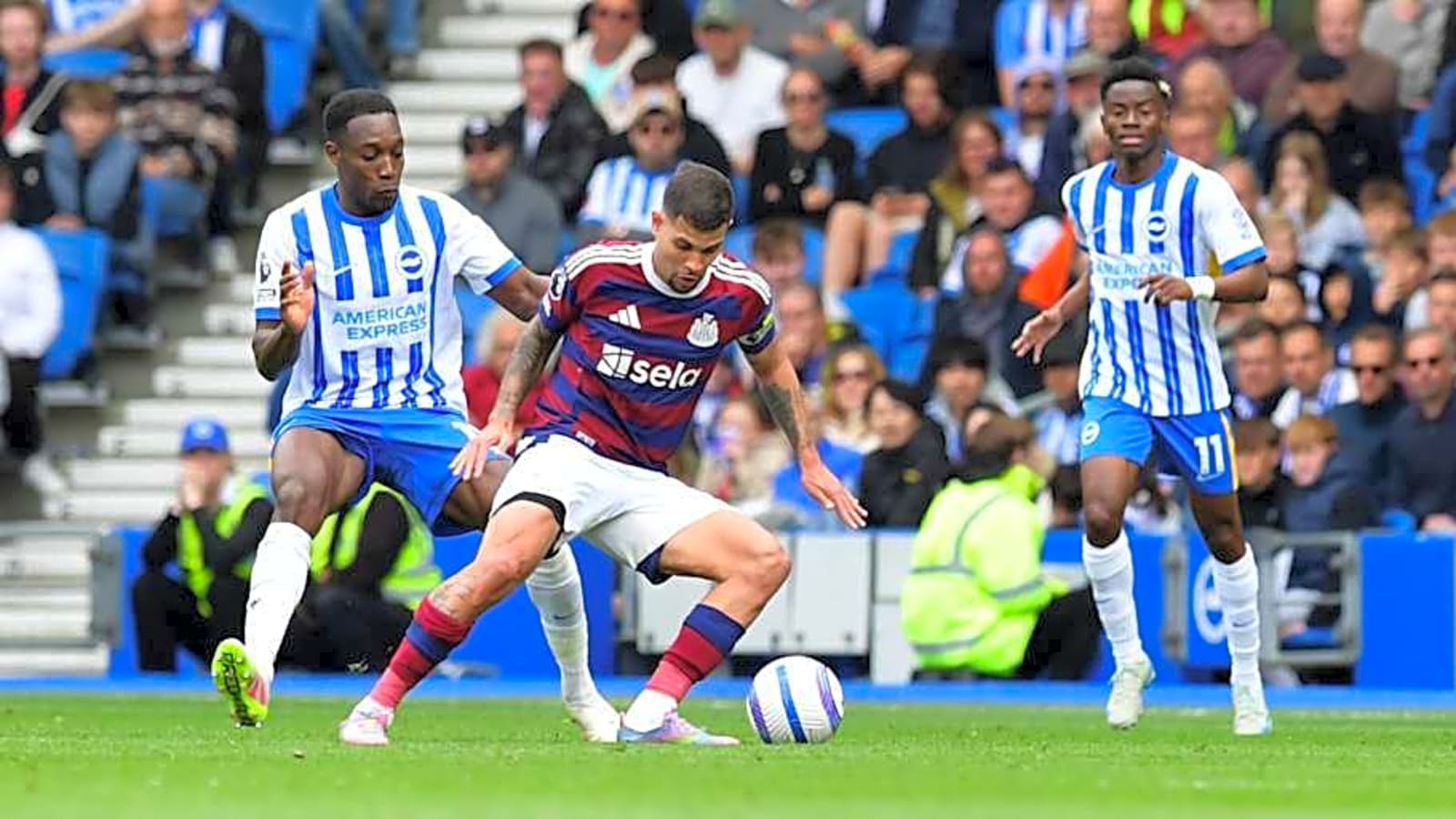 Brighton vs. Newcastle United preview