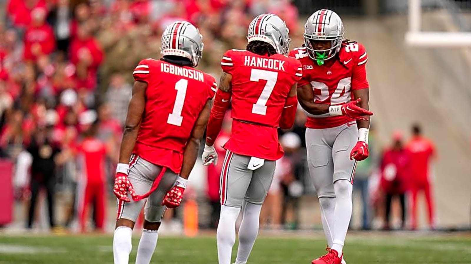 Bills' Young Defense Features New Pair of Collegiate Connections