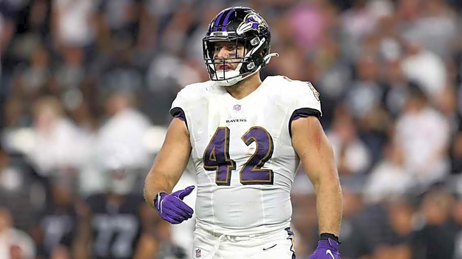 John Harbaugh&#39;s uncertain update on Patrick Ricard will leave Ravens fans concerned