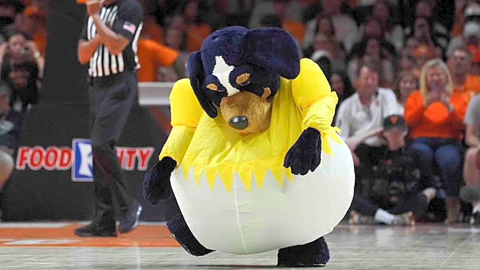 NBA Team Creates Tennessee Volunteers Pipeline Following NBA Draft