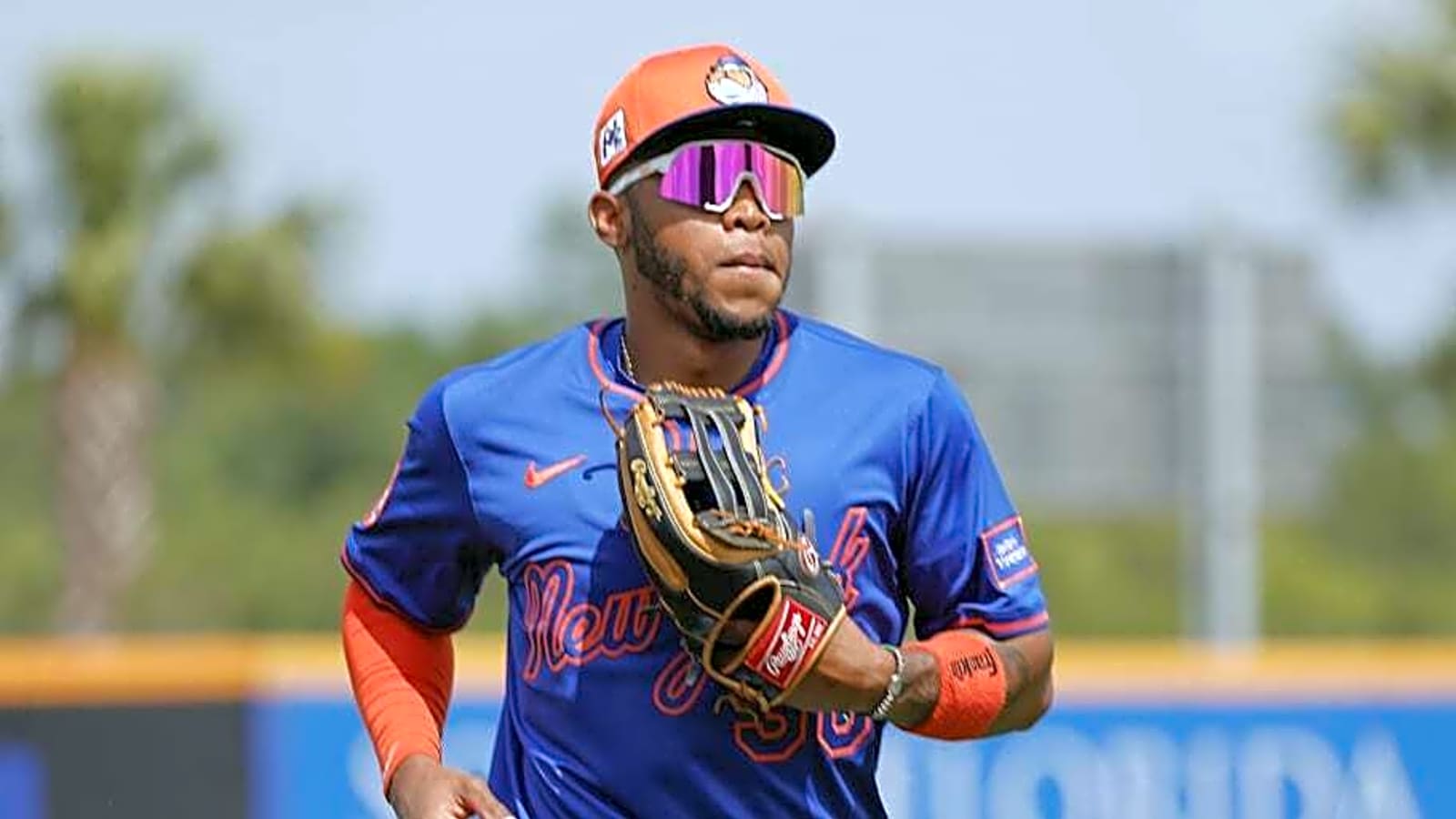 Mets Bring Back Recently Released Braves Outfielder