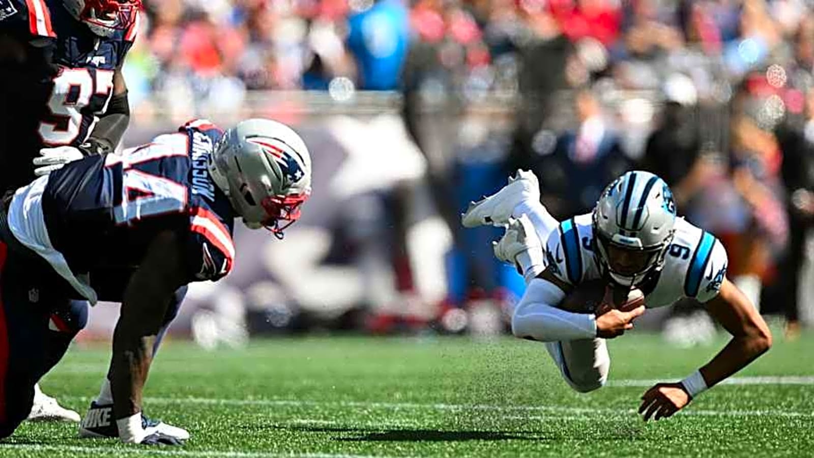 Panthers PFF grades: Derrick Brown on top, Bryce Young & linebackers bomb
