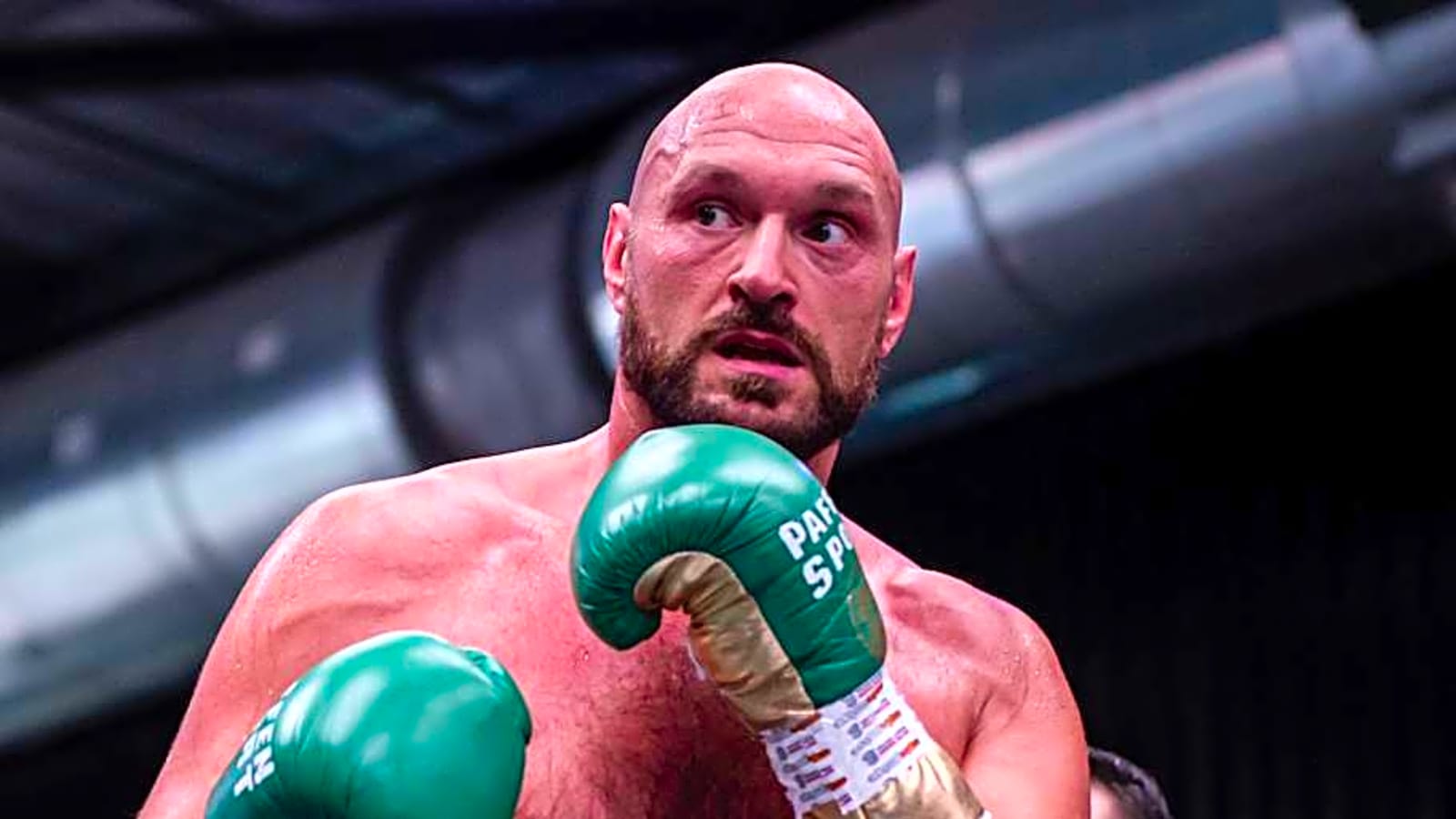 Jake Paul Calls For Fight Against Tyson Fury After Anthony Joshua