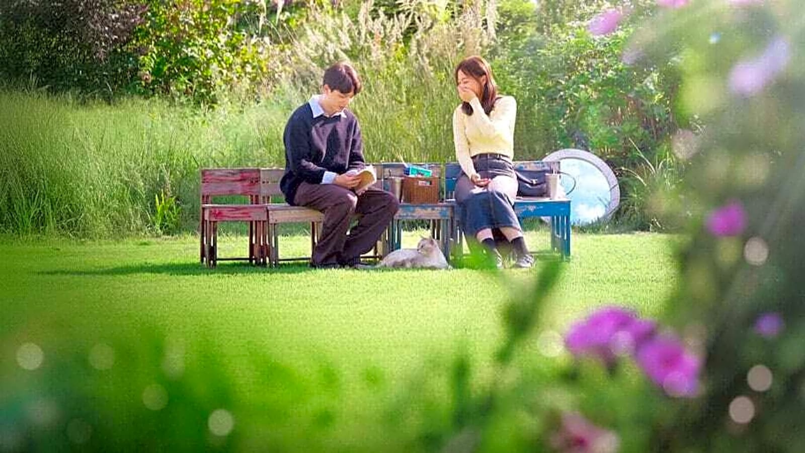 Is 'Better Late than Single' South Koreas next big Netflix hit?