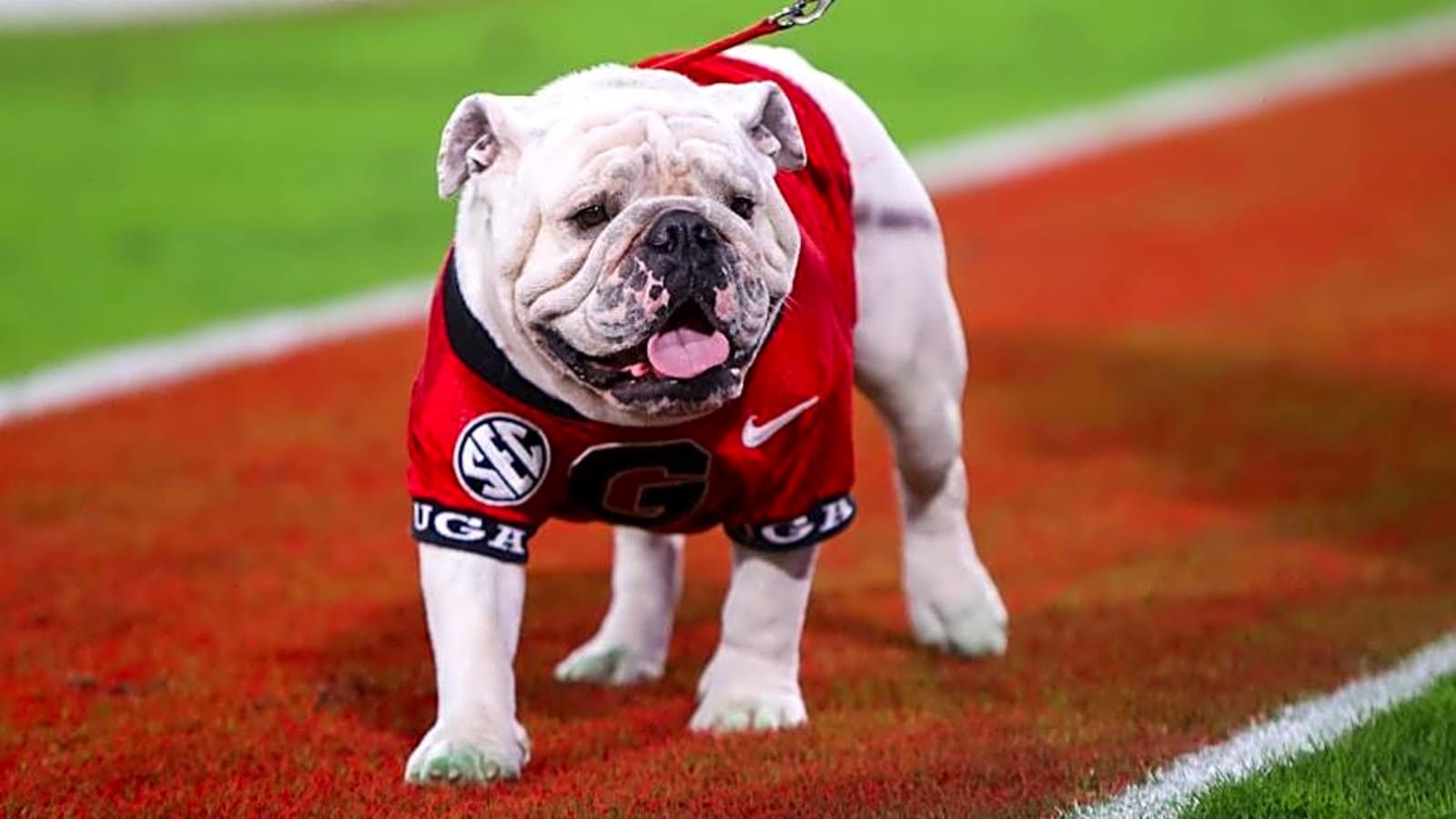 2025 Mississippi State football opponent preview: Georgia