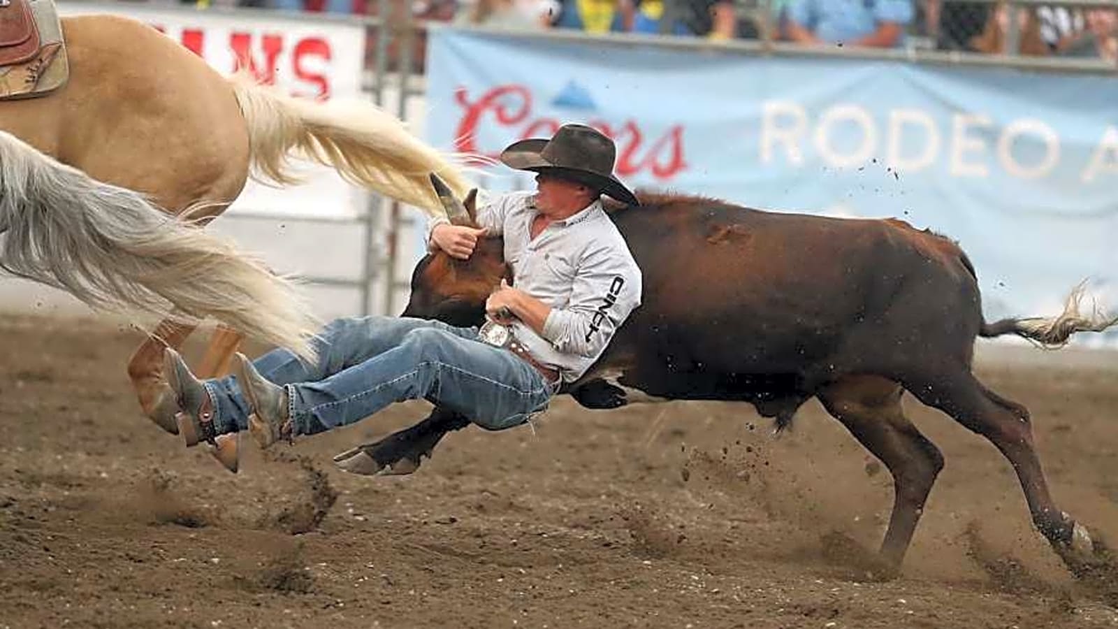 Top Cowboys Hold Their Ground in PRCA Timed Event World Standings