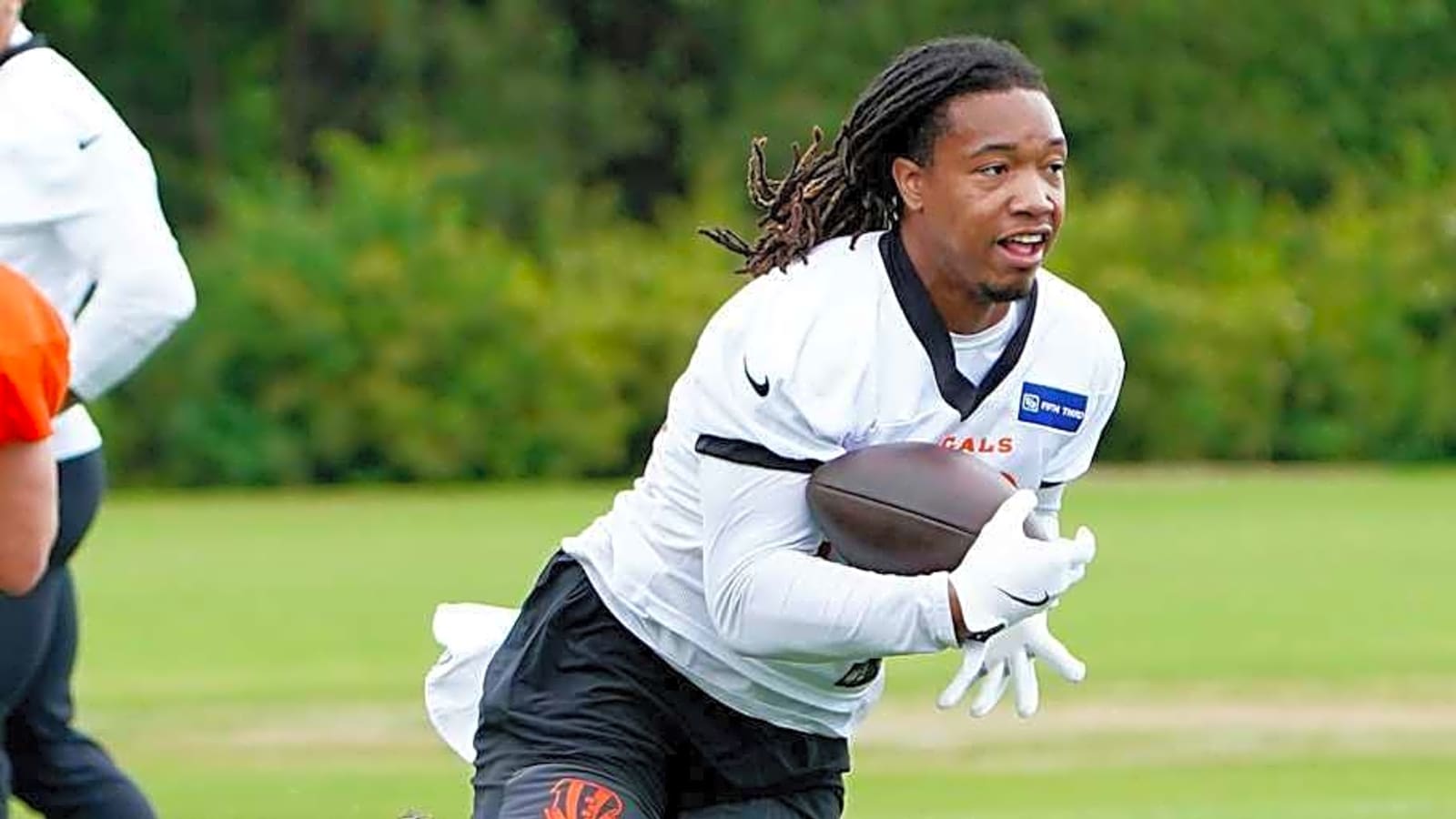 Cincinnati Bengals Announce Running Back Signing Ahead of 2026 NFL Combine
