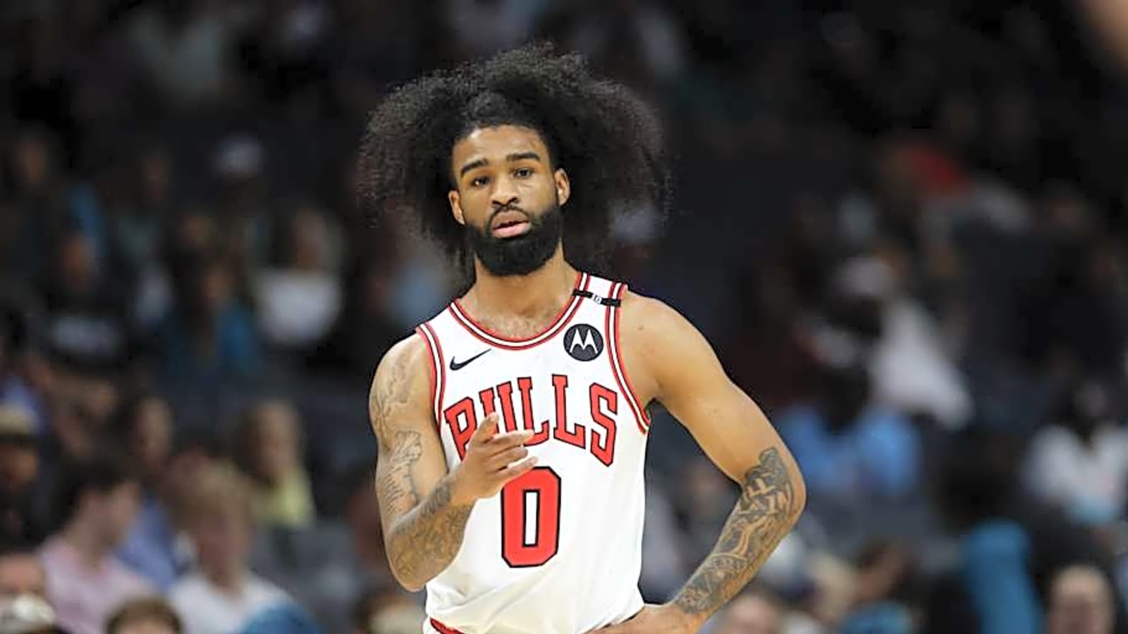 What could a Timberwolves trade for Coby White look like?