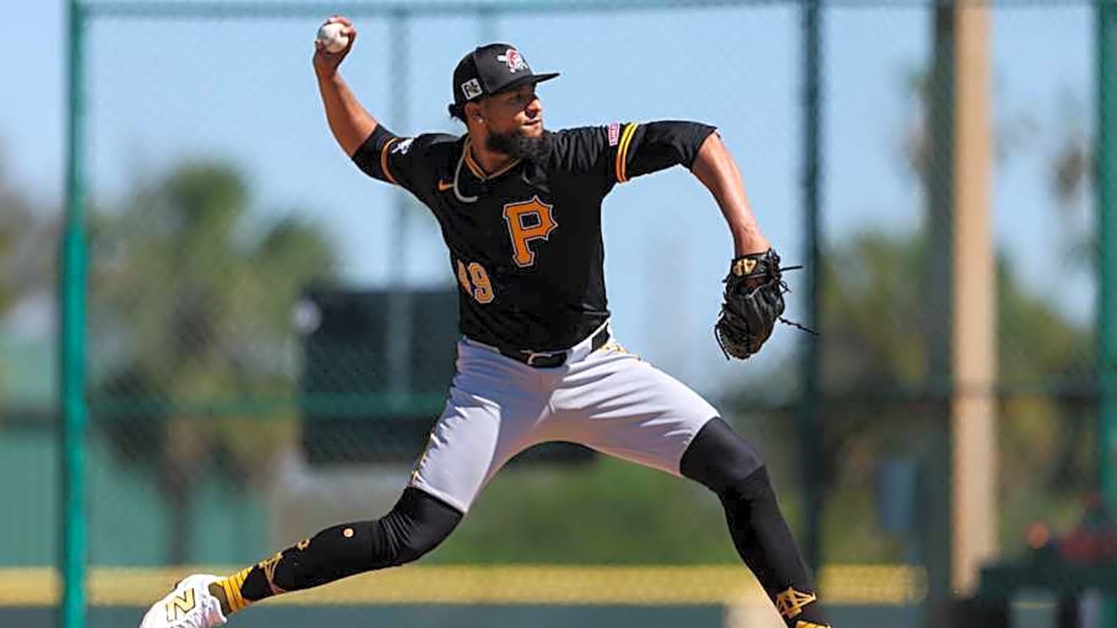 Pirates Bring Up New Relief Pitcher