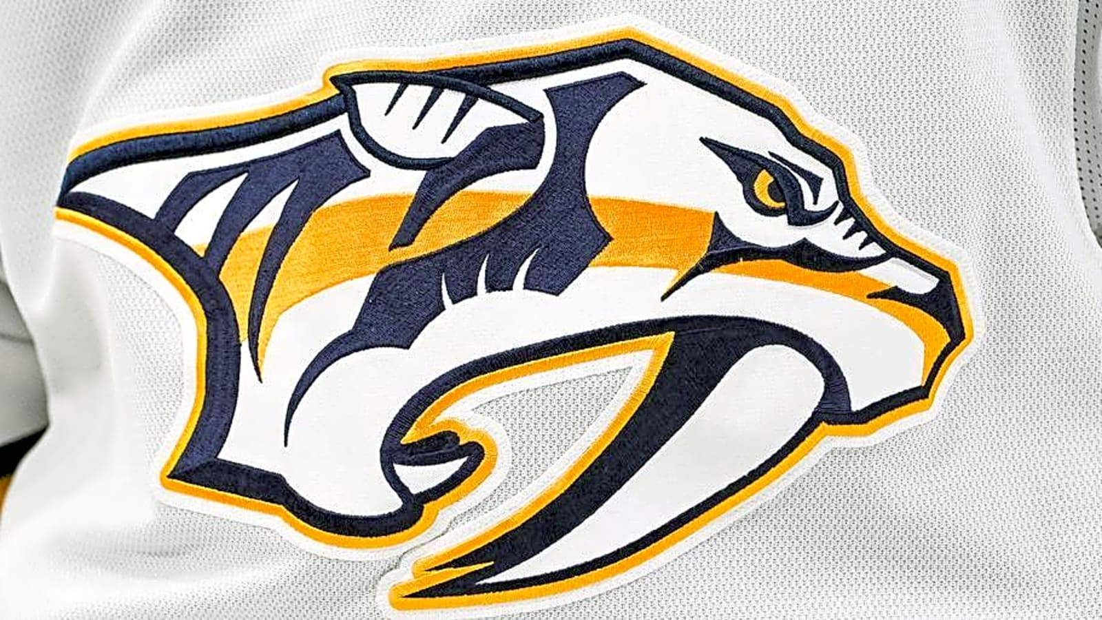 Nashville Designates 14 Players To AHL Affiliate Milwaukee Admirals