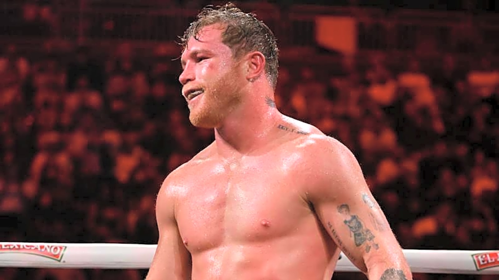 Fan Favorite Urged To Take Canelo Alvarez Fight After Terence Crawford
