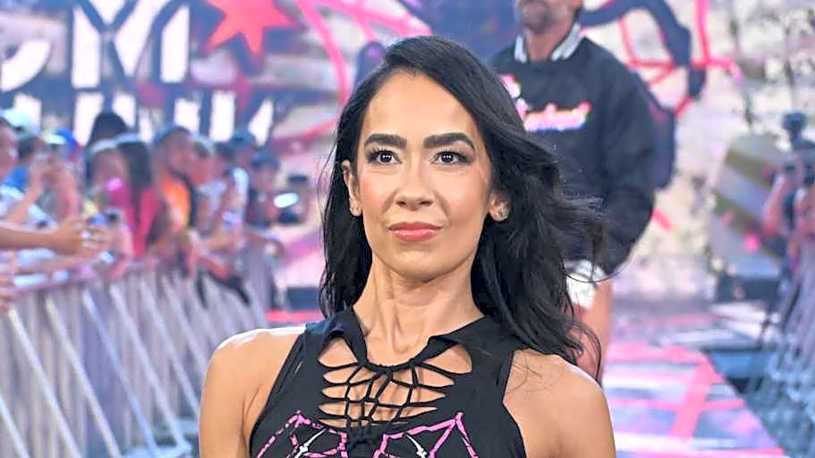 The Biggest Winner Of WWE Wrestlepalooza Wasn&#39;t AJ Lee Or Brock Lesnar