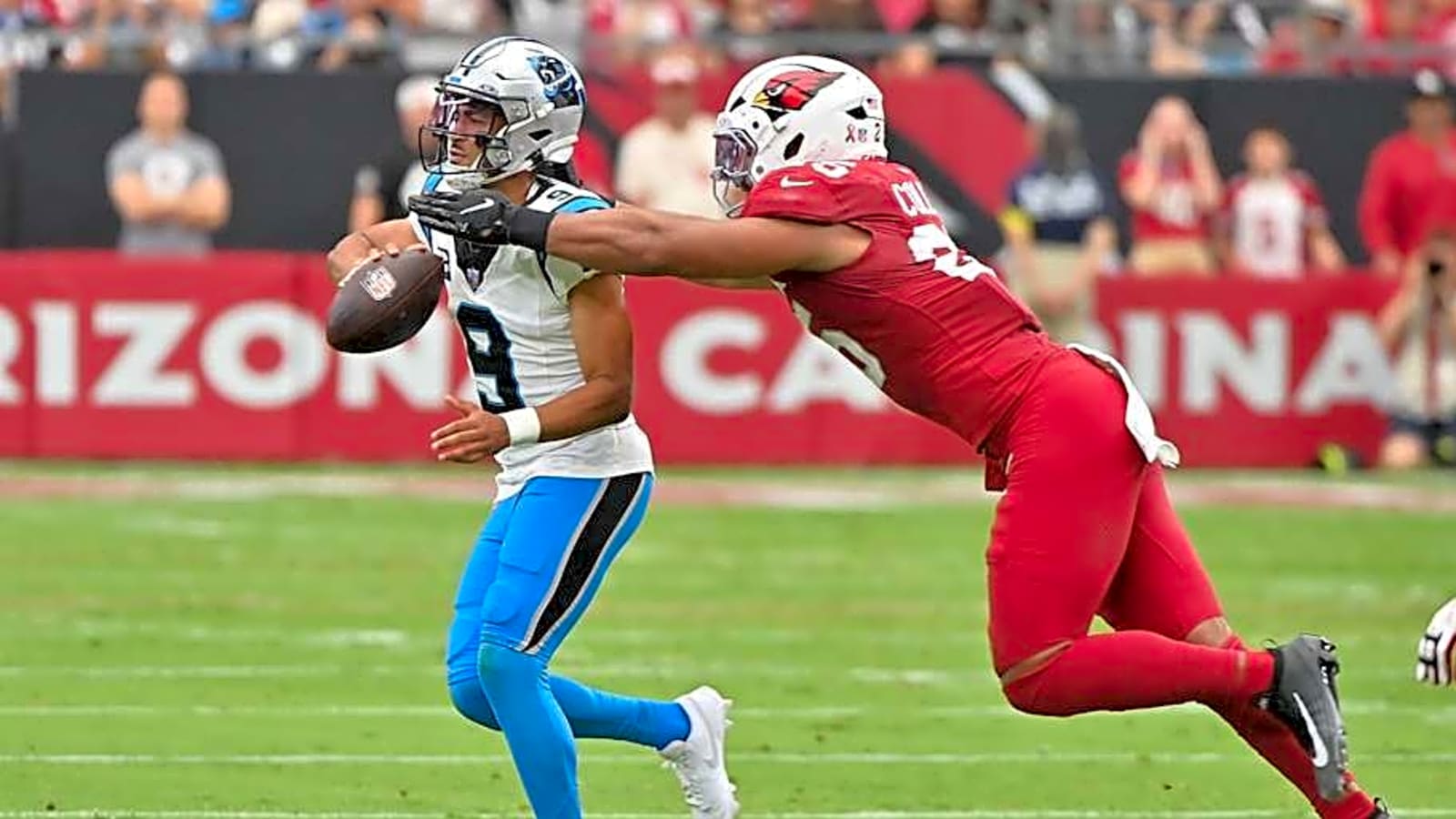 Panthers earn passing grade despite second straight loss