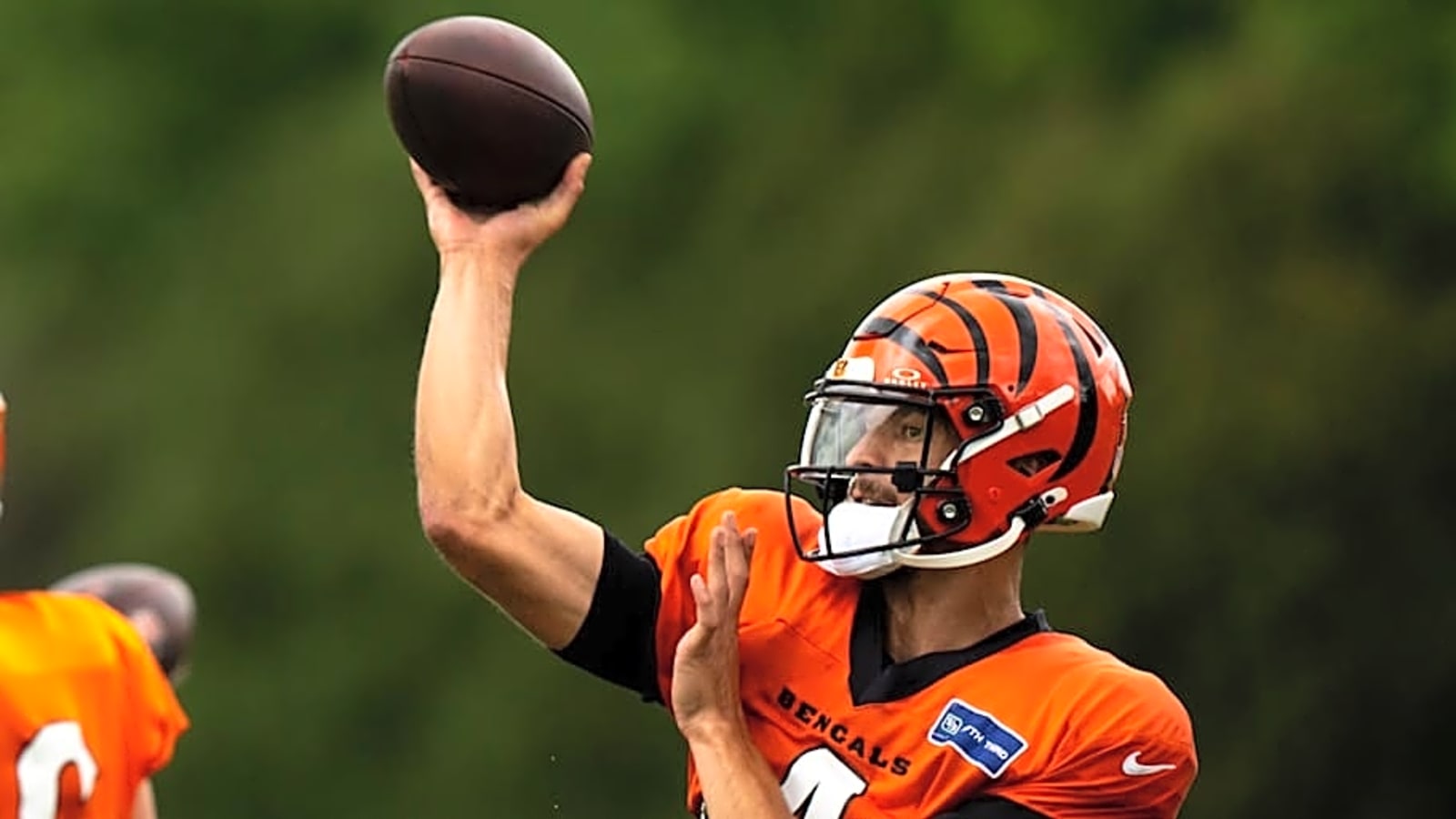 Former Cardinals QB Released by Bengals