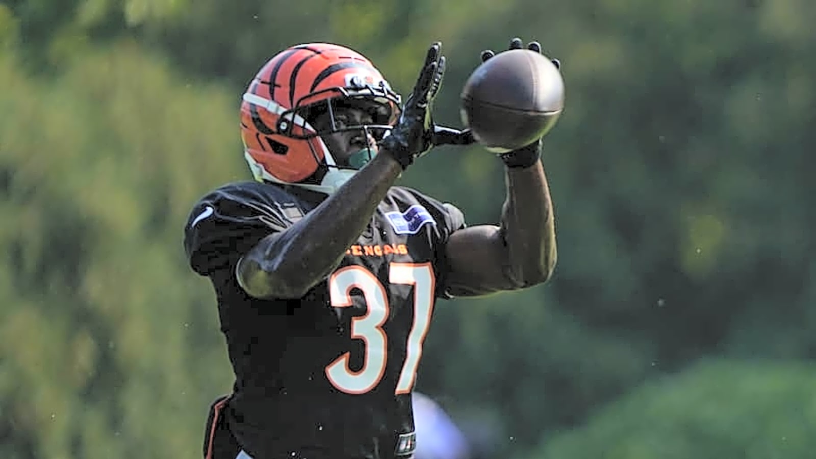 Cincinnati Bengals Make Final Cuts, Trim Roster to 53 Ahead of Deadline